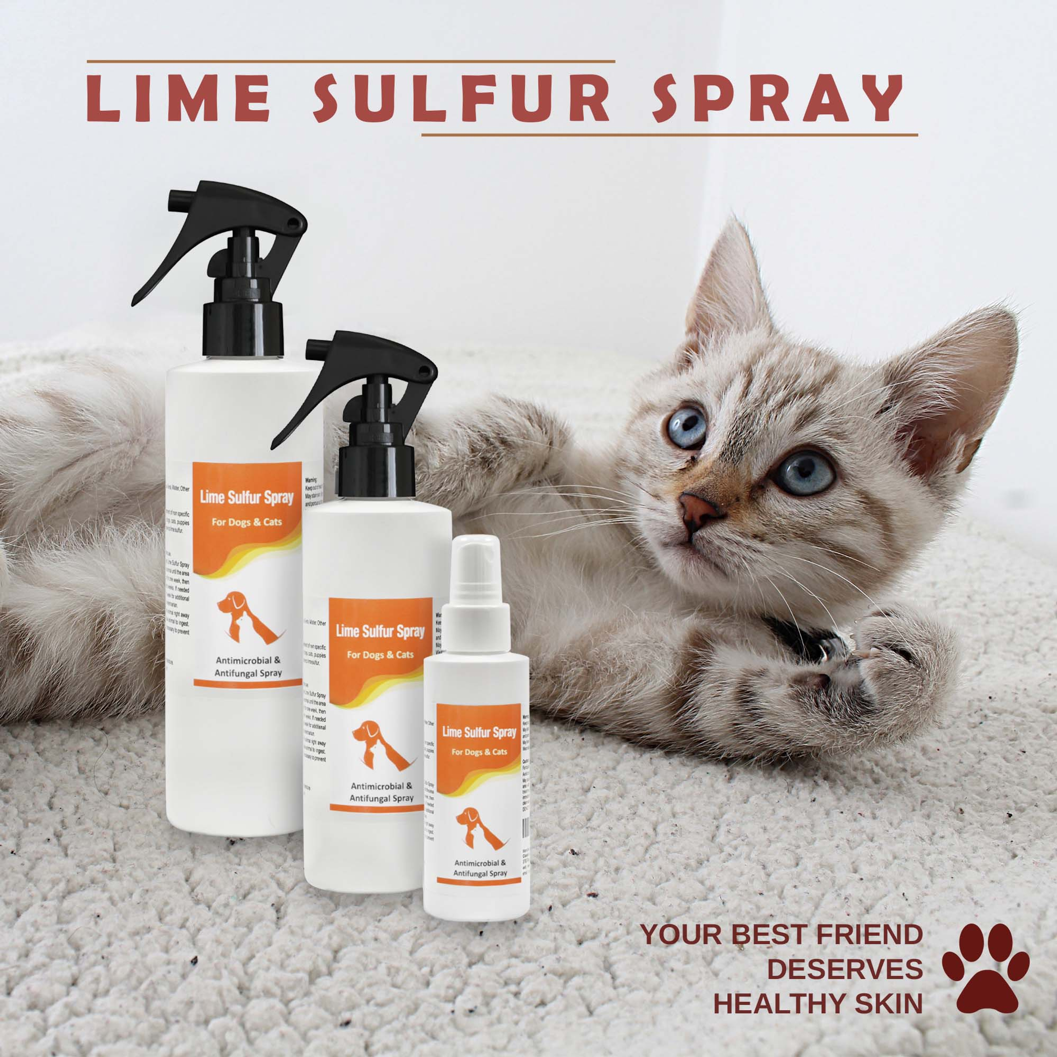 Spray for Pet Care for Dry Itchy Skin Treatment Gentle Formula with Aloe Vera 8 Ounces Easy to Use Bottle