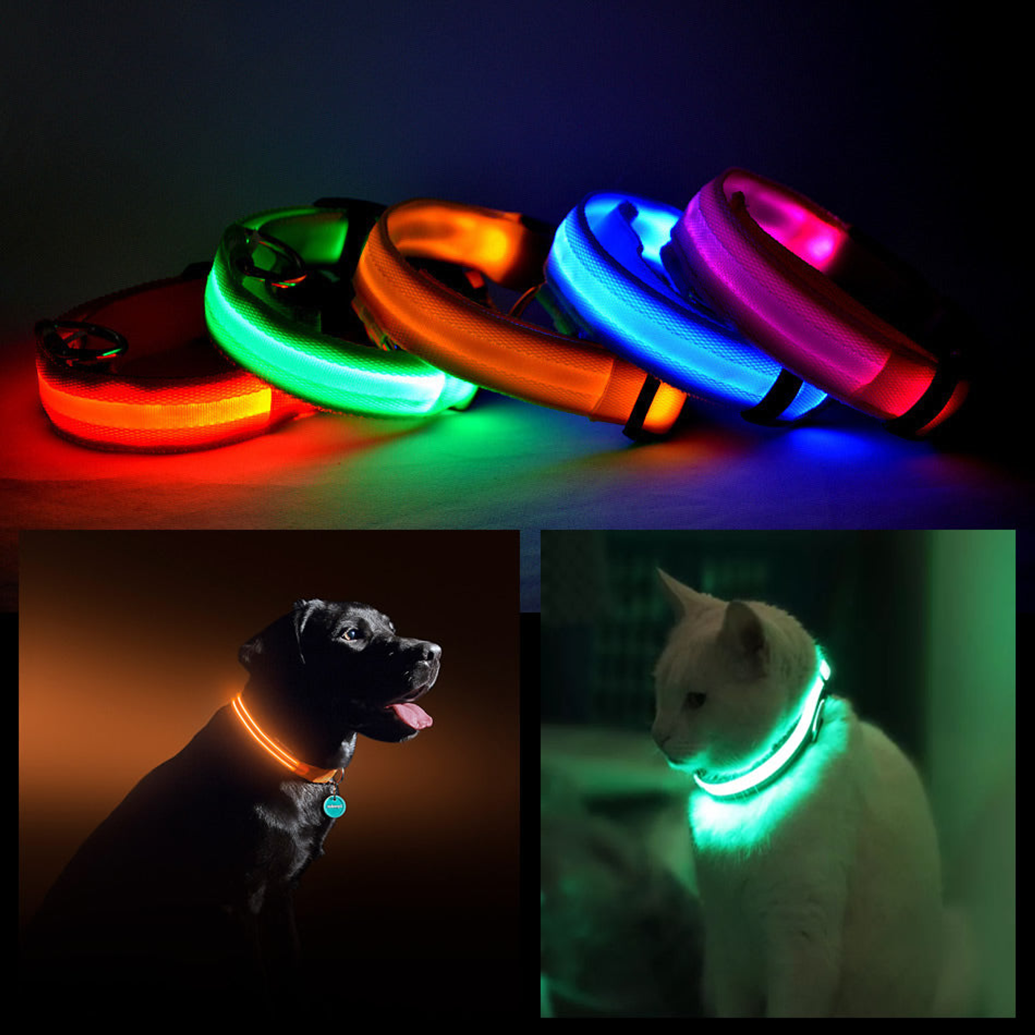 LED PET Safety Halo Style Collar Image 1