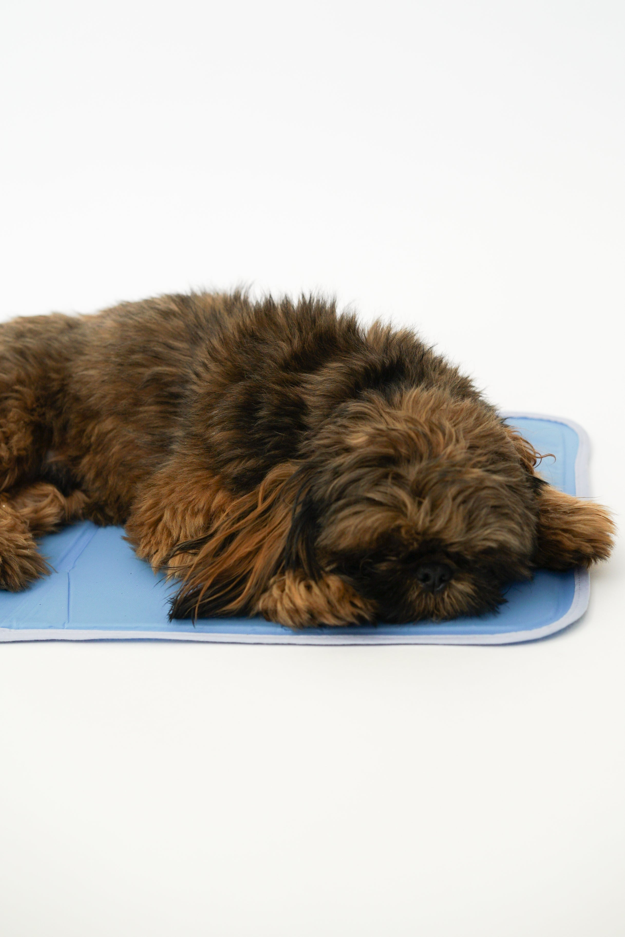 Cool Pet Pad Image 1