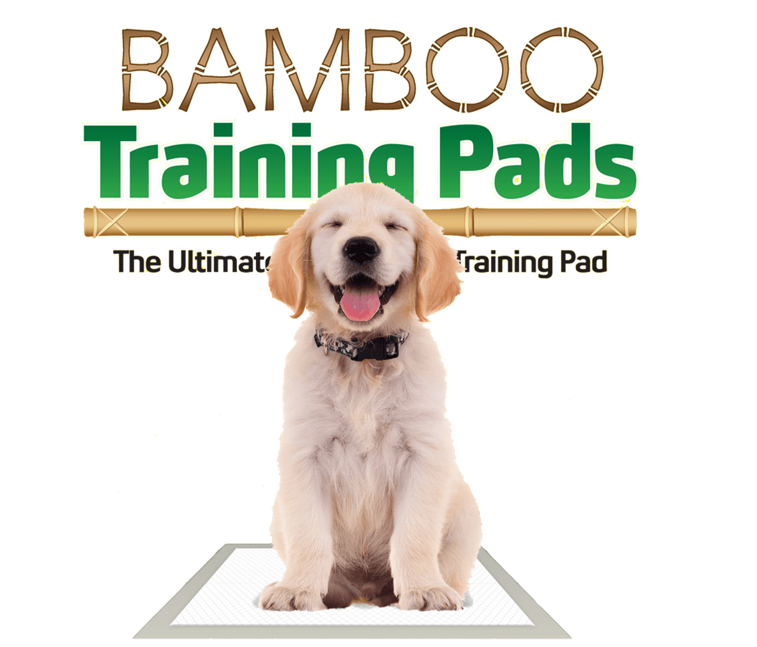 Bamboo Training Pads Image 1