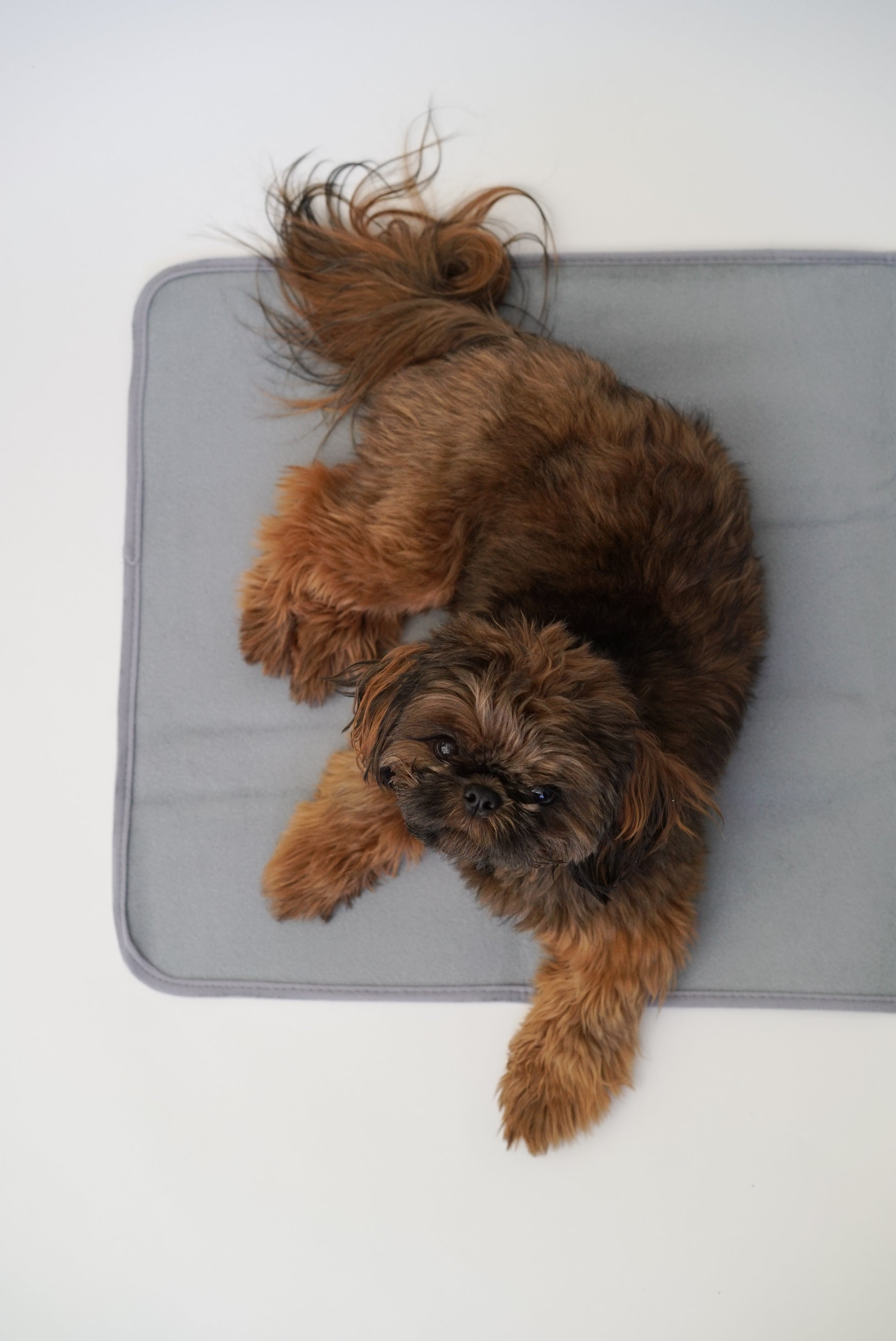 Thera-Pawz Warming Pad Image 1