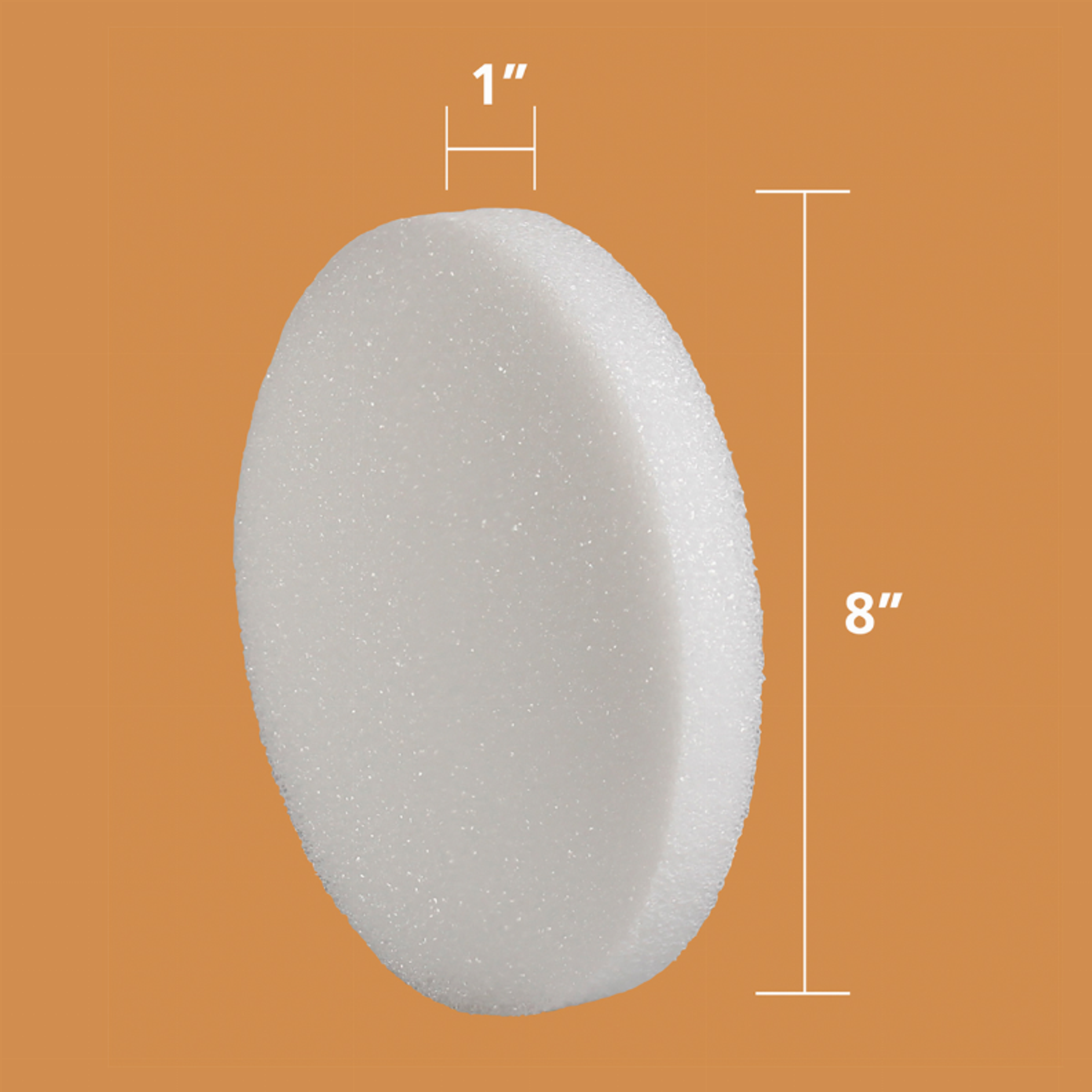 Styrofoam Pack 6 of 8in round discs