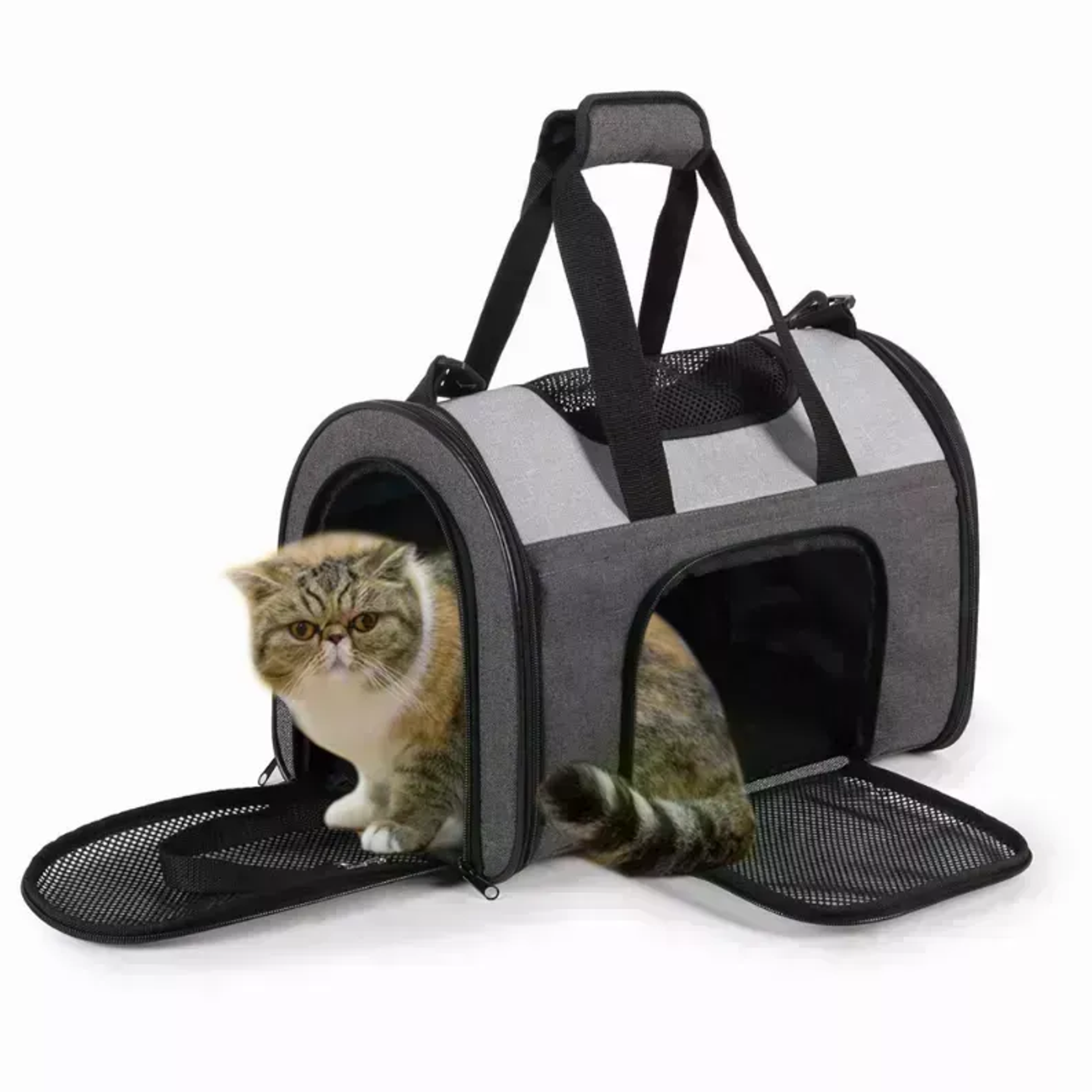 JESPET Soft-Sided Kennel Pet Carrier for Small Dogs, Cats, Puppy, Airline Approved Cat Carriers Dog Carrier Collapsible, Travel Handbag & Car Seat Image 1