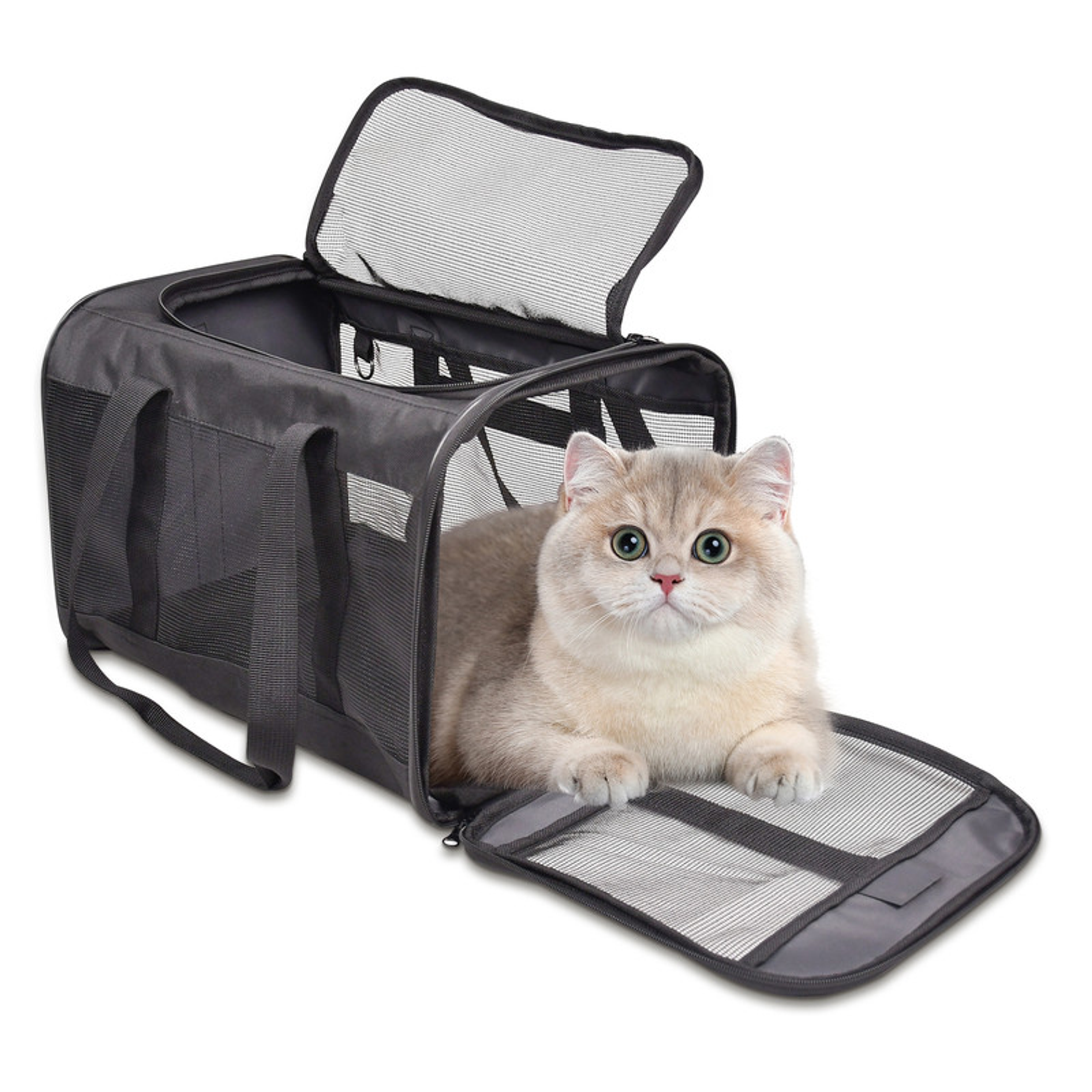 GOOPAWS Soft-Sided Airline Approved Bag Cat Carrier 17 x 11 x 11 inches Black