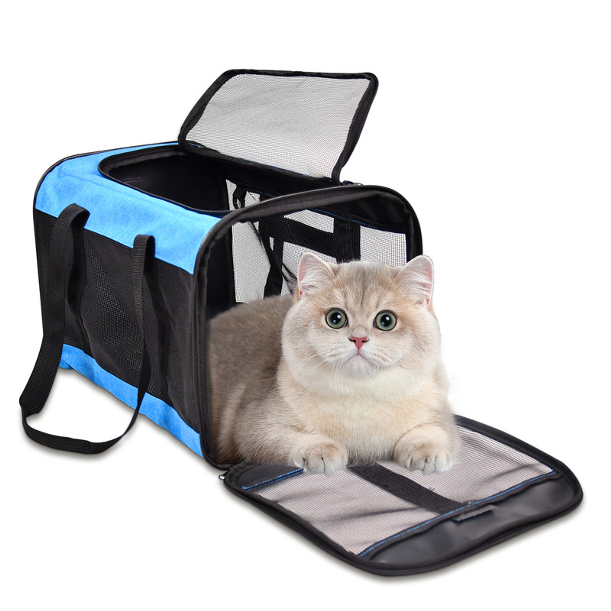 GOOPAWS Soft-Sided Airline Approved Bag Cat Carrier 17 x 11 x 11 inches Turquoise
