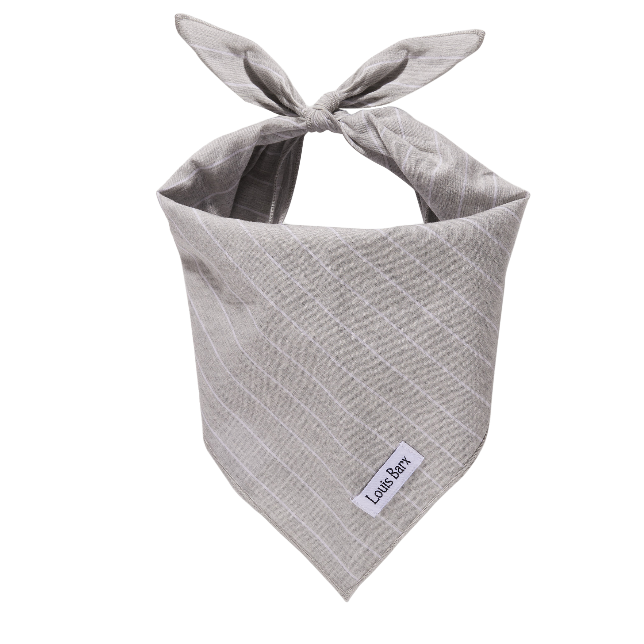 Classic Everyday Bandana Image 1