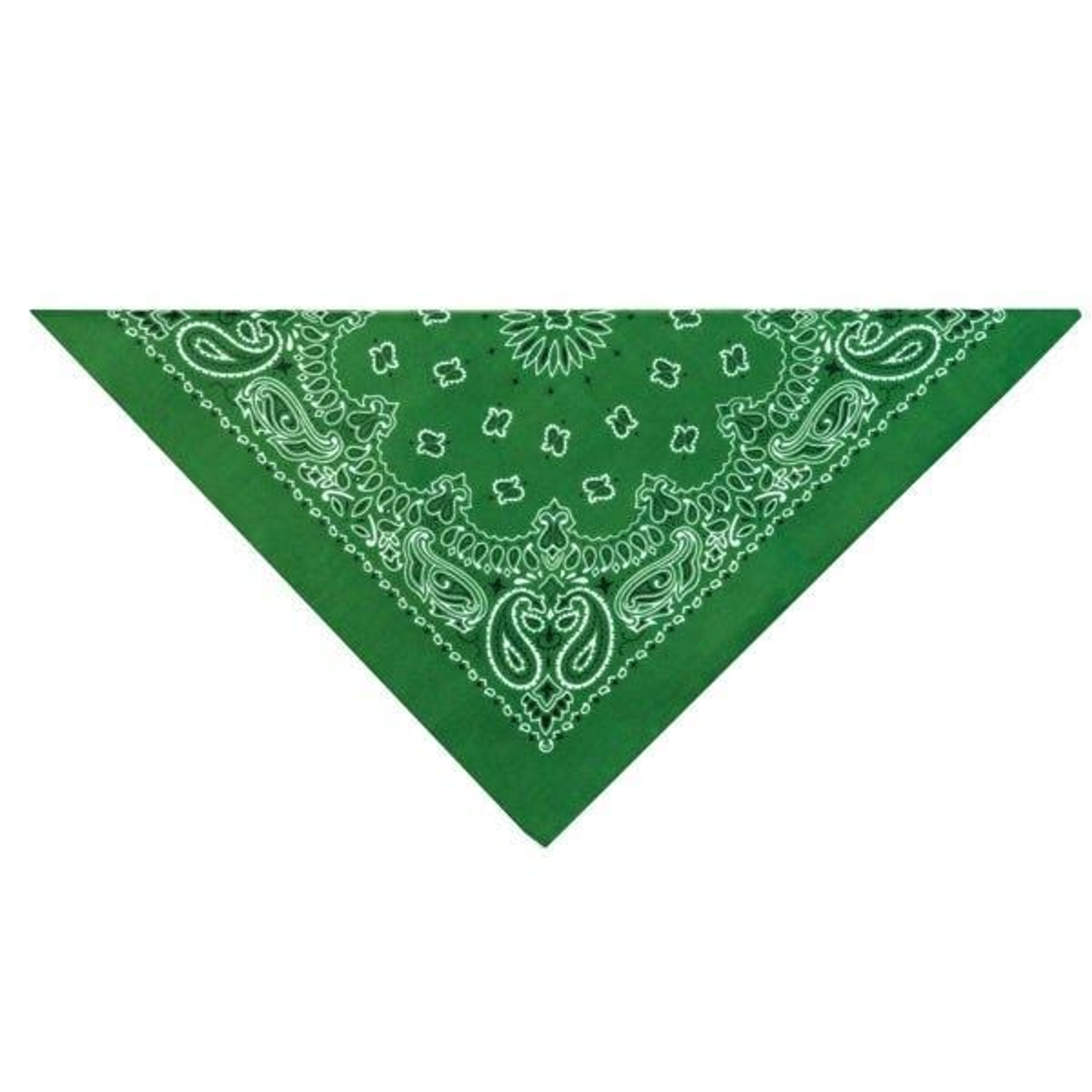 TP Paisley Bandana Dk Grn Image 1