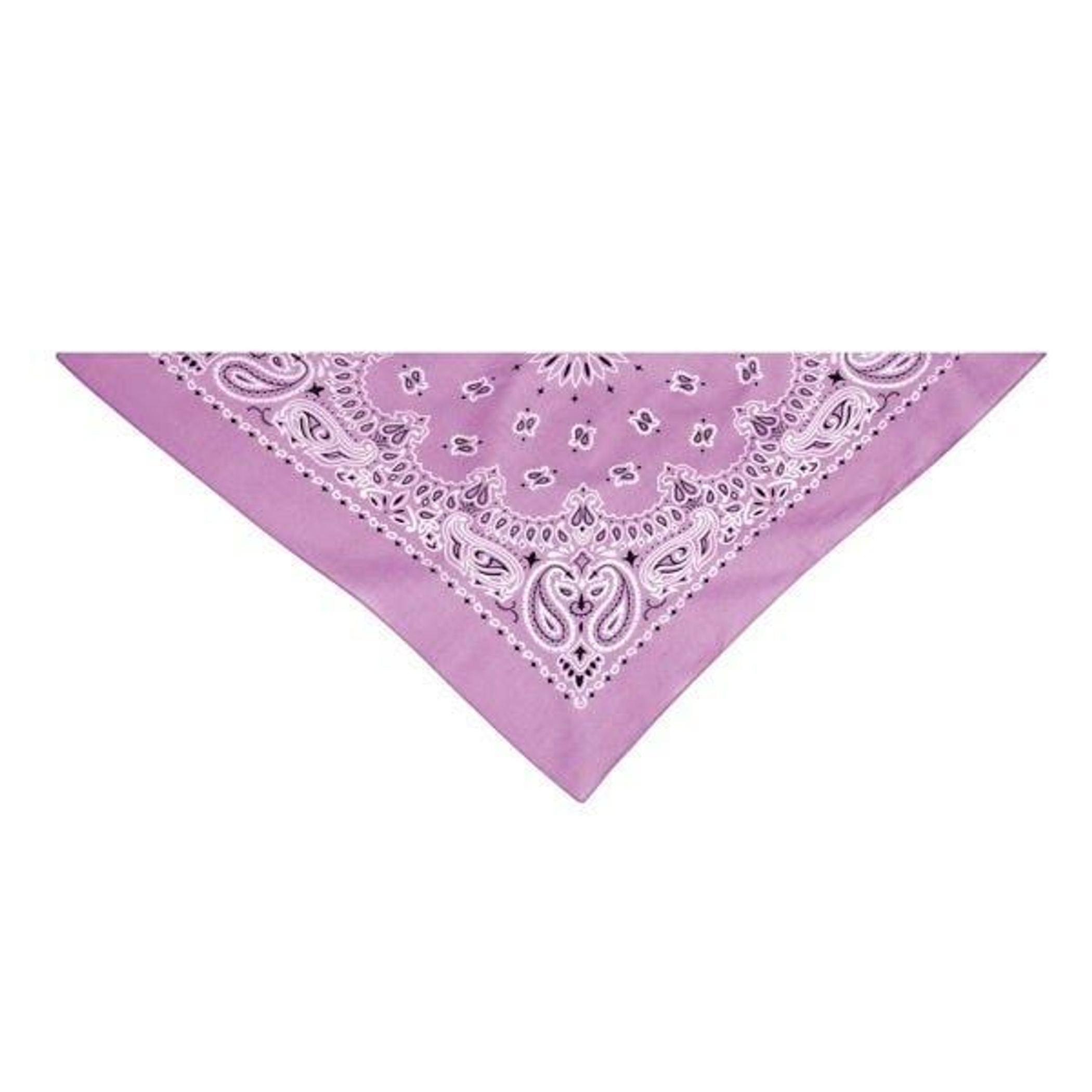 TP Paisley Bandana Pur Image 1