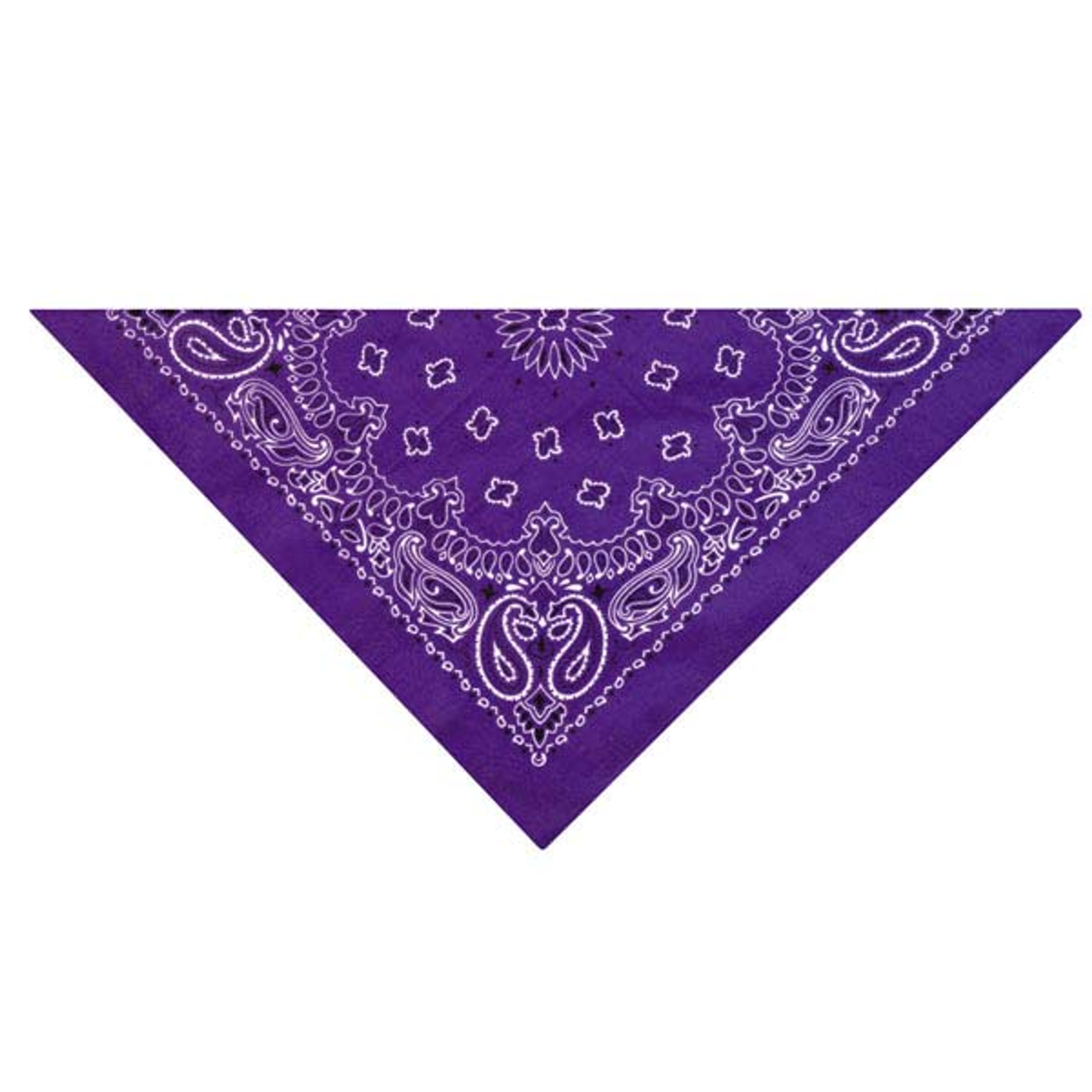 TP Paisley Bandana DkPur Image 1