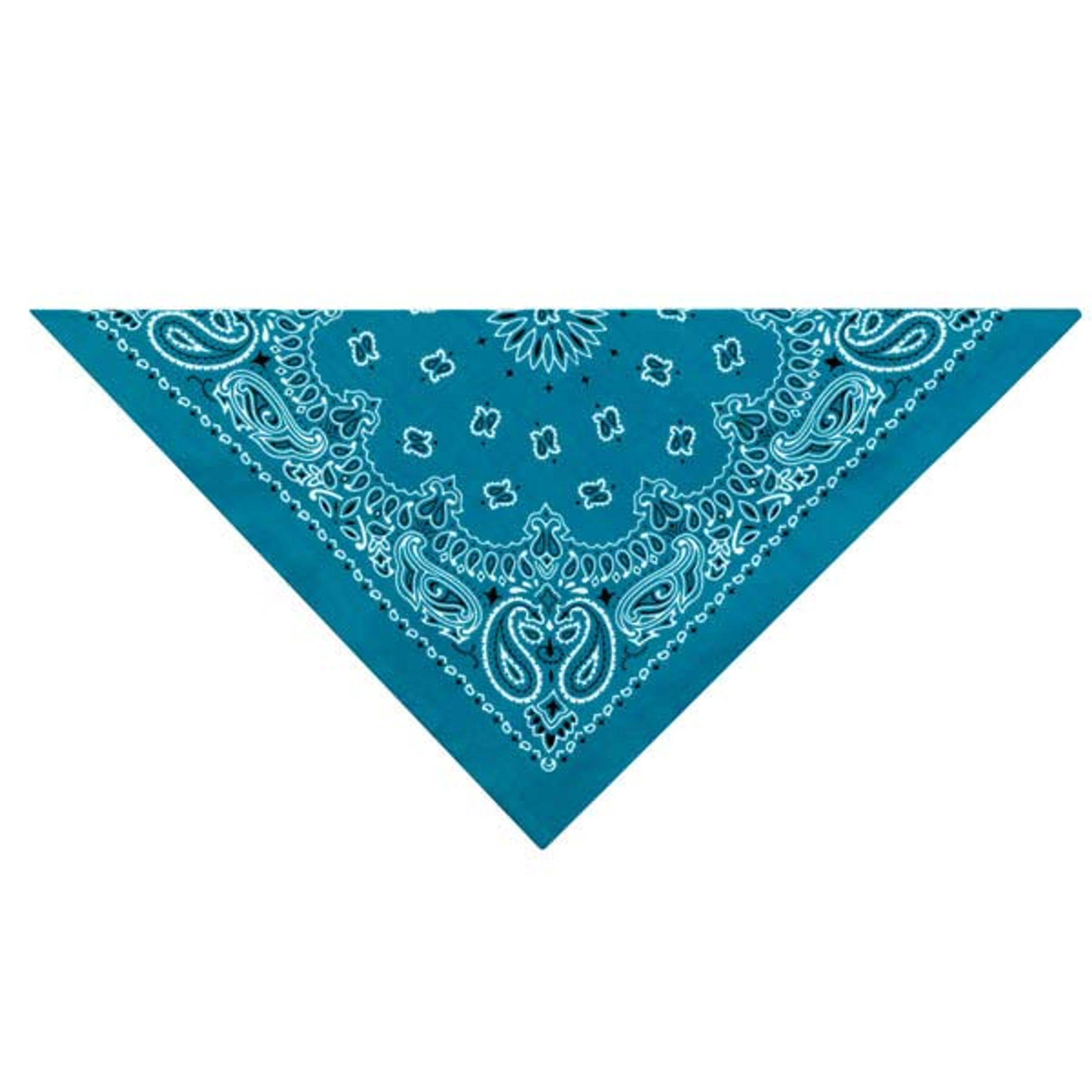 TP Paisley Bandana Lt Blu Image 1