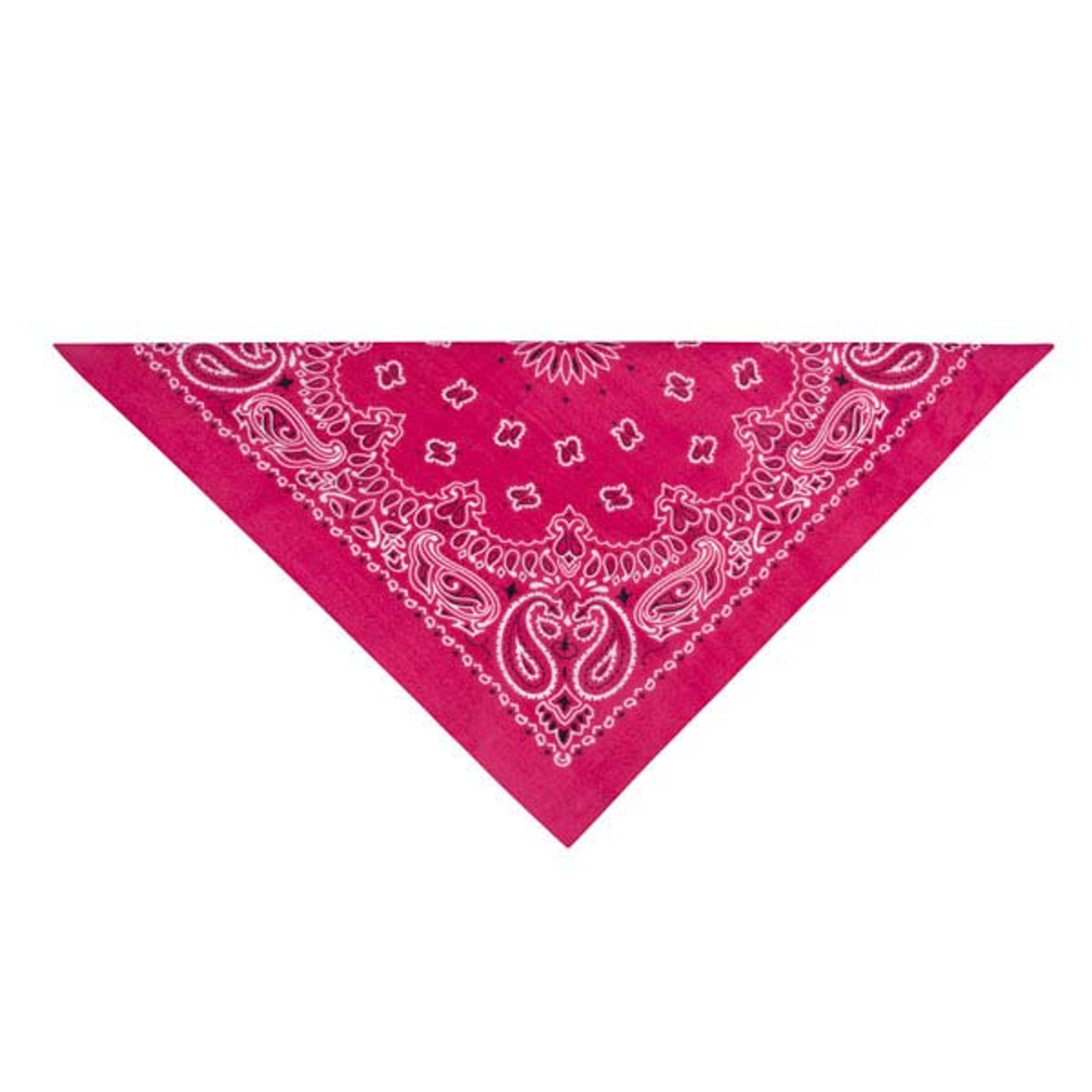 TP Paisley Bandana Pnk Image 1