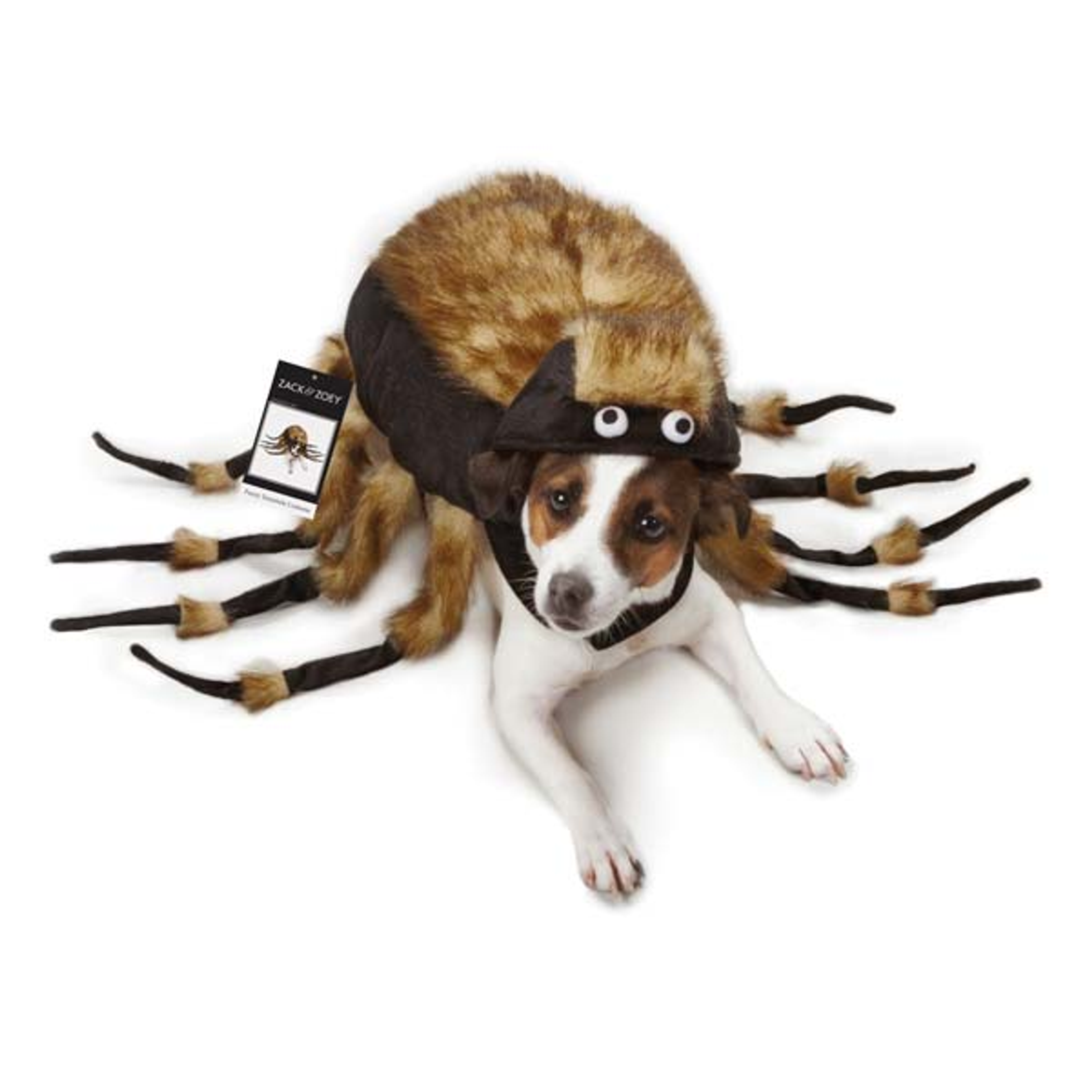 ZZ Fuzzy Tarantula Costume Image 1