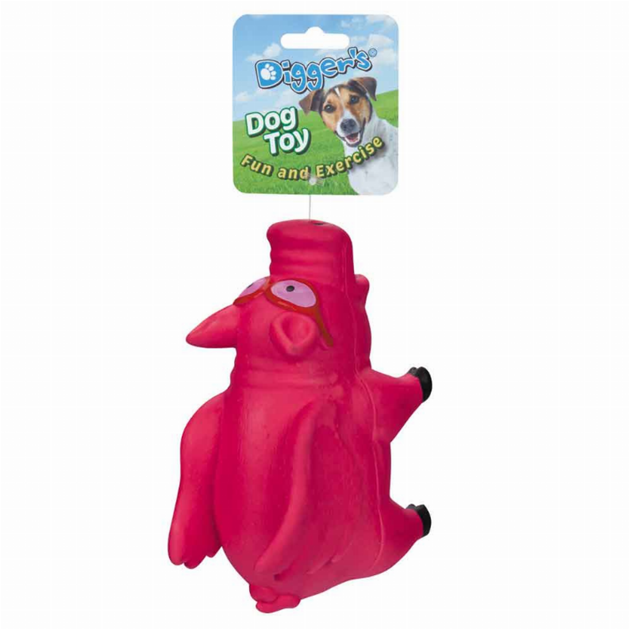 DGR Flying Grunting Pig Pink Image 1