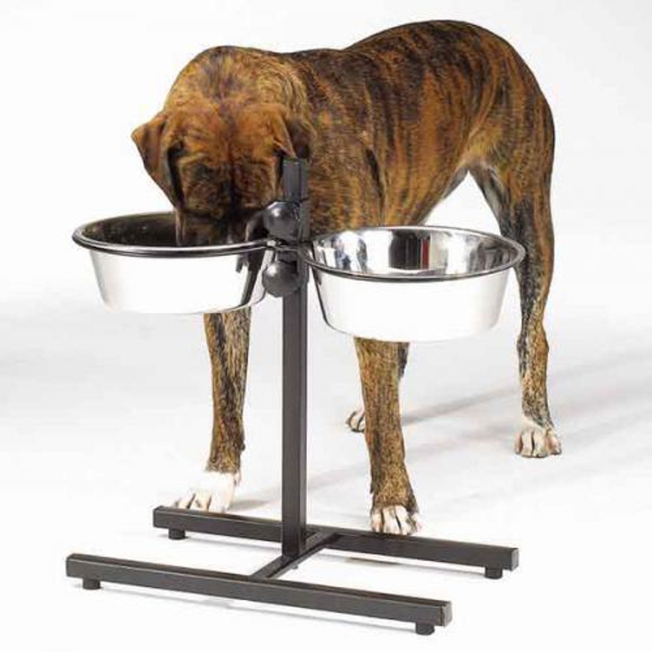 ProSelect Adjustable Diner with/Bowls 160oz Image 1