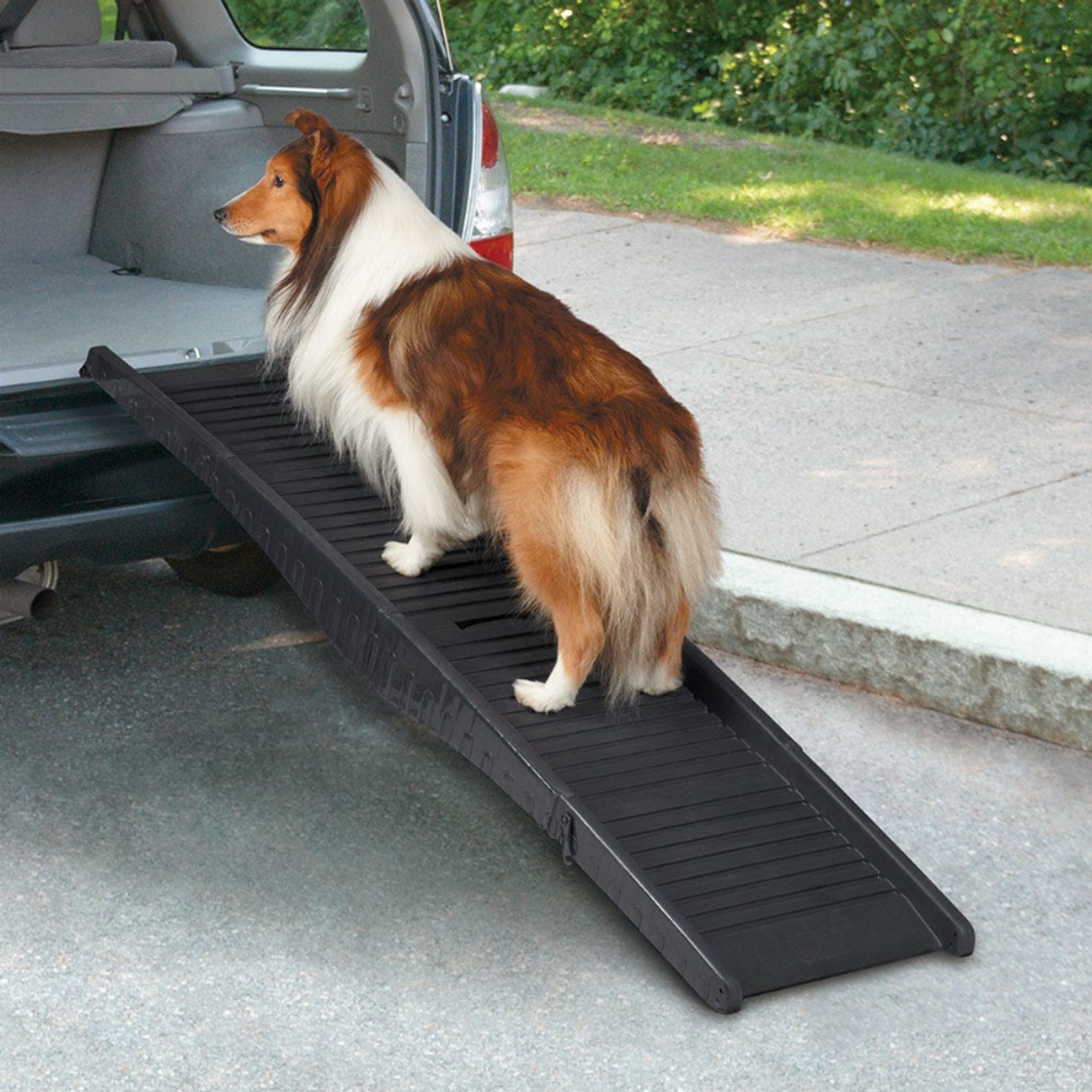 CR Tri-Fold Vehicle Pet Ramp Blk Image 1