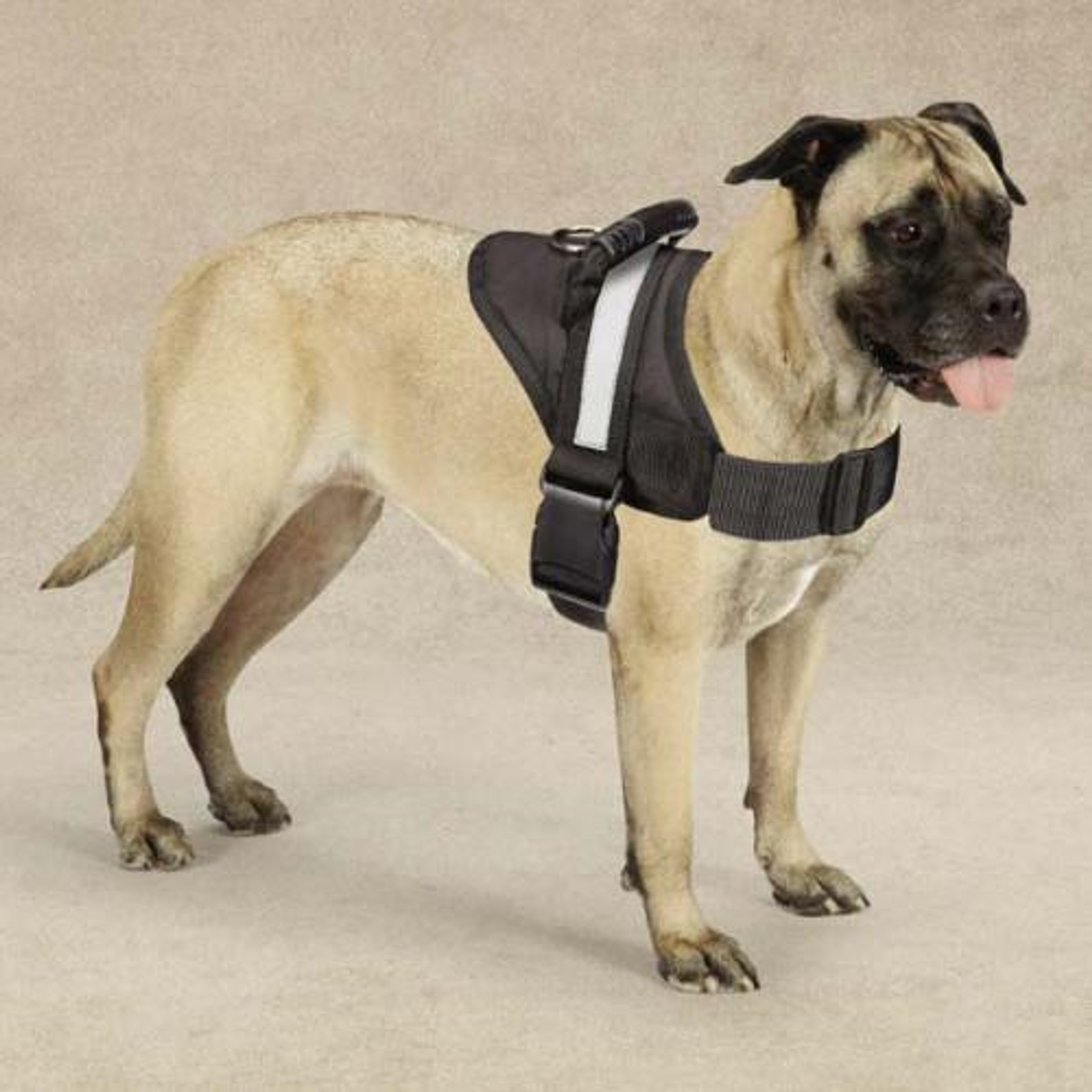 Guardian Gear Excursion Harnesses 36-46In Image 1