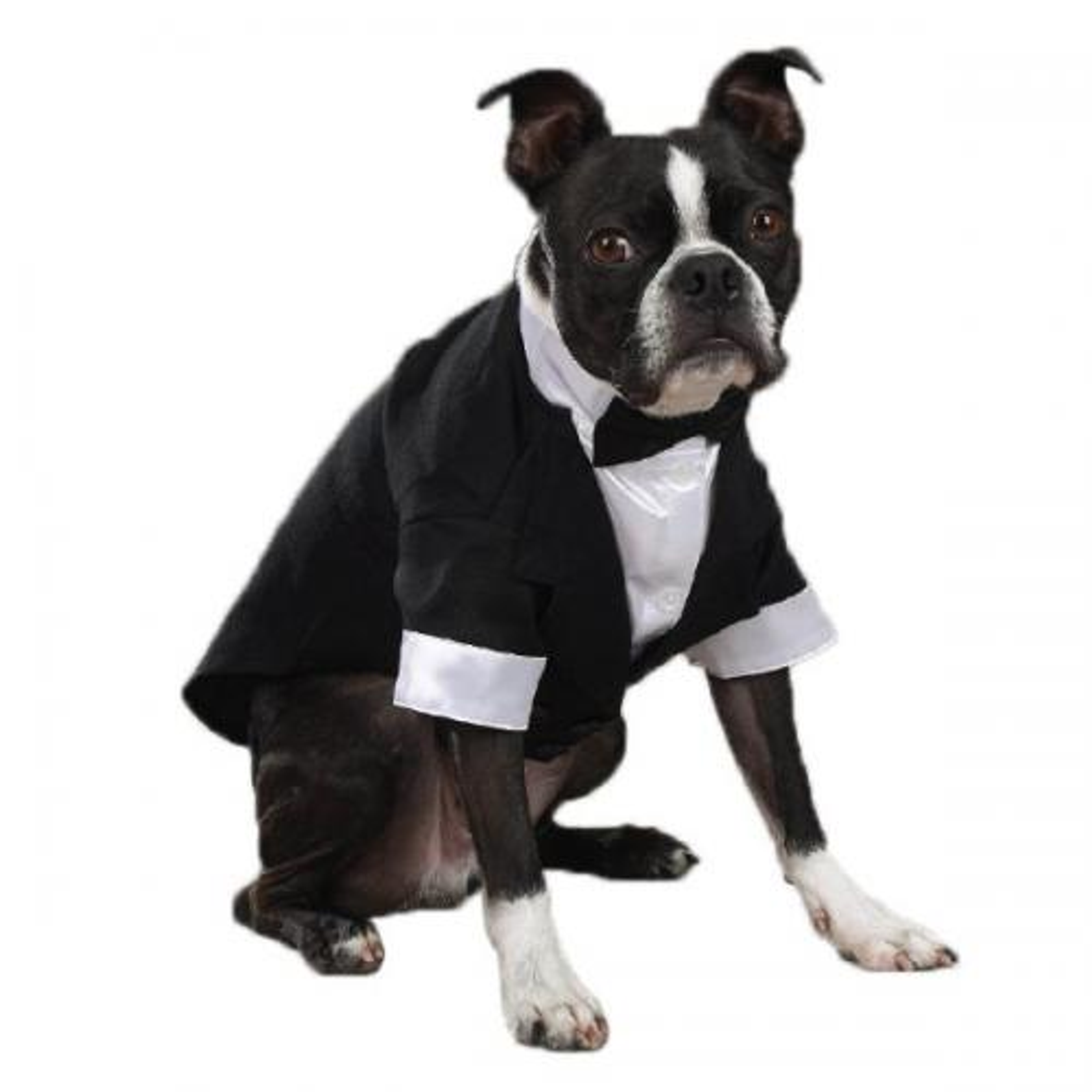 East Side Coll Yappily Ever After Groom Tux Image 1