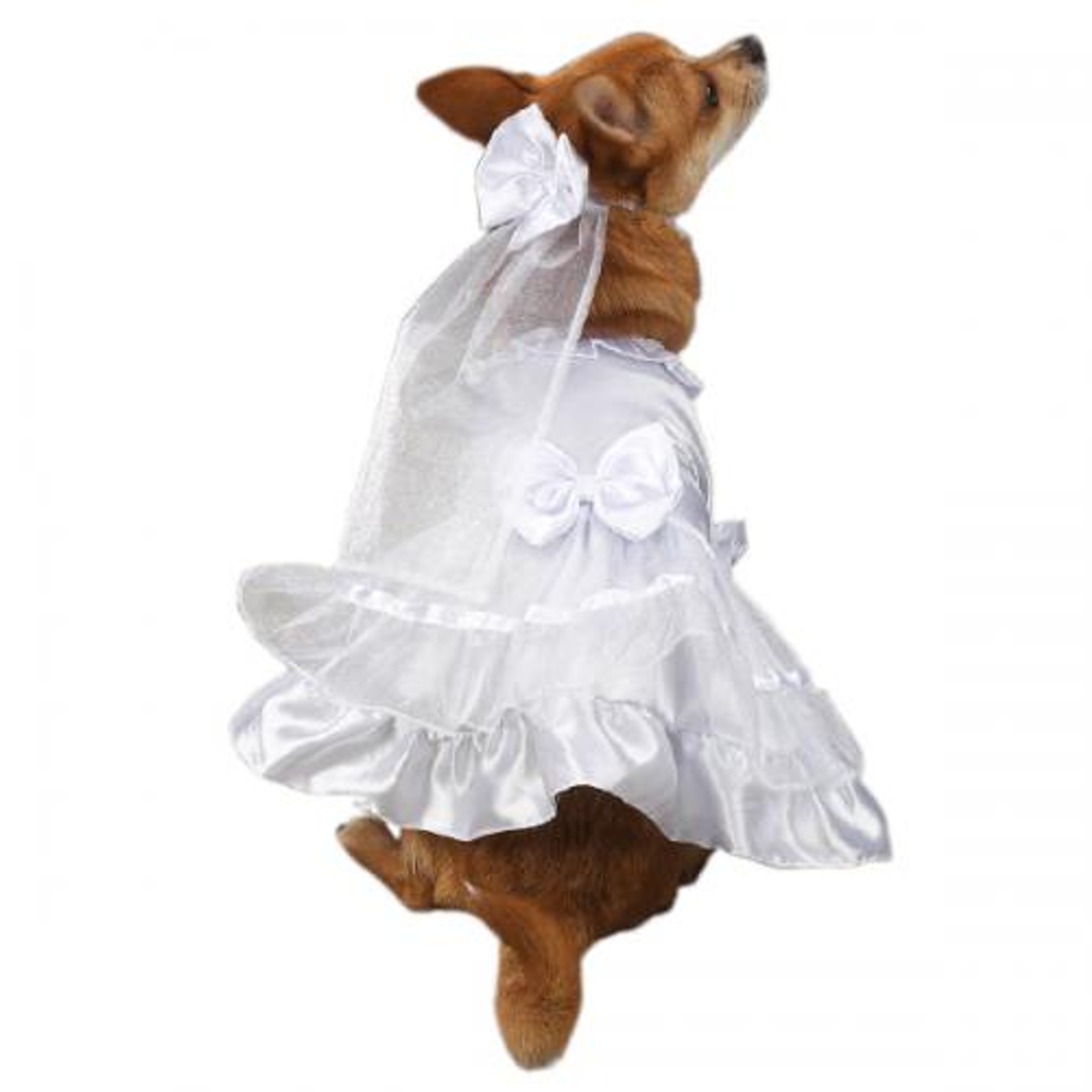 East Side Coll Yappily Ever After Wedding Dress Image 1