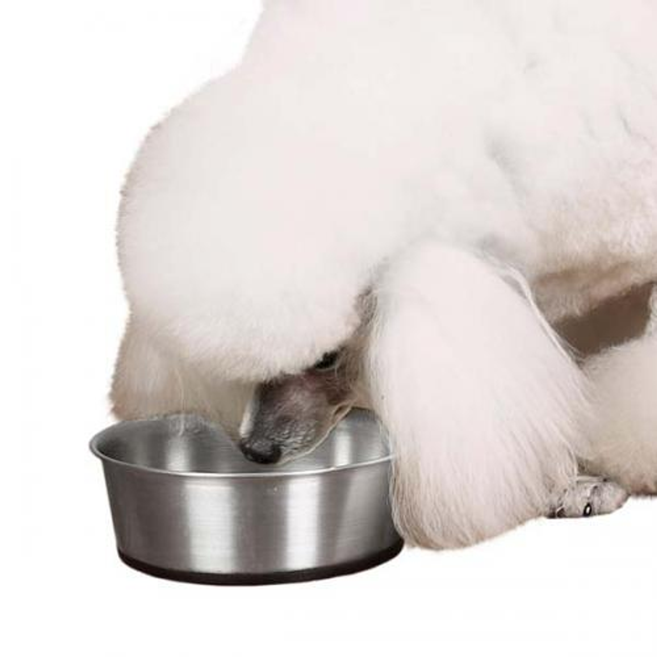 ProSelect SS Bowl with Rubber Base 88oz Image 1