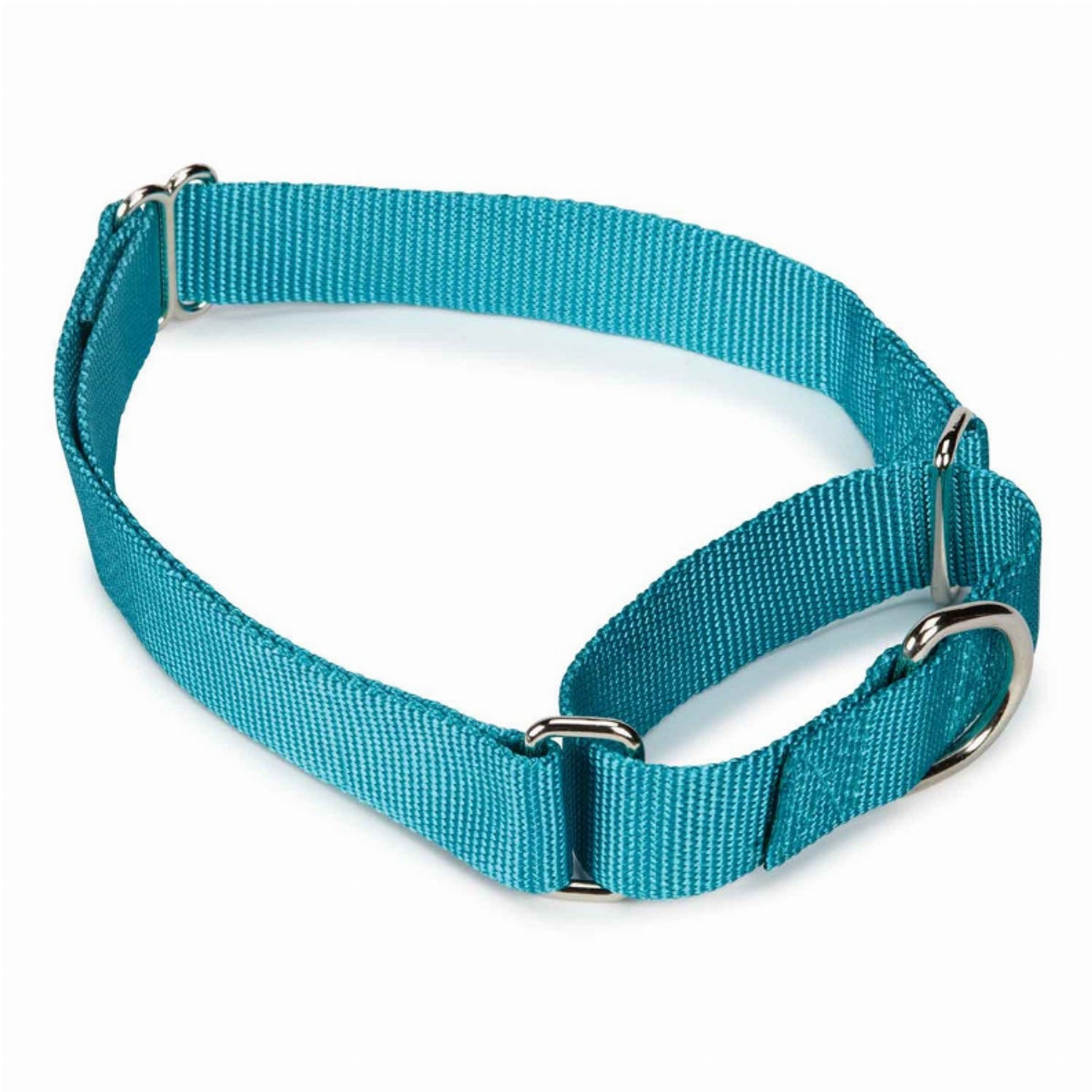 GG Nylon Martingale Collar 14-20In LtB Image 1