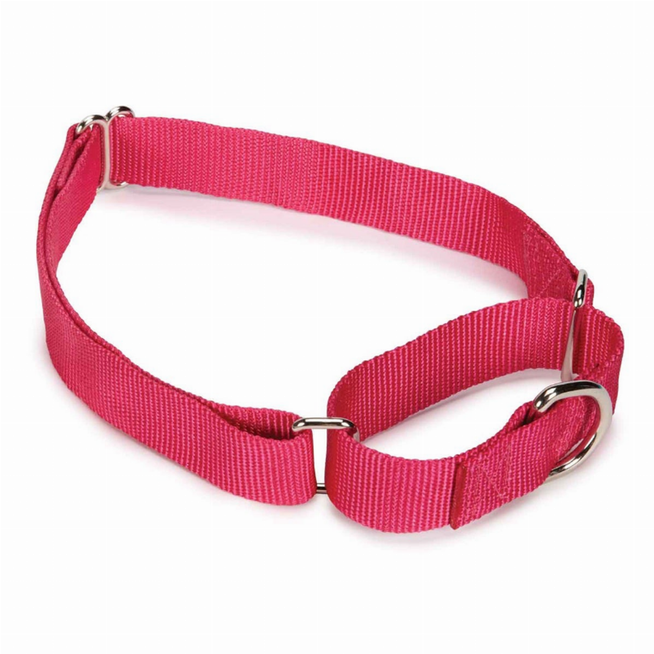GG Nylon Martingale Collar 14-20In Pnk Image 1