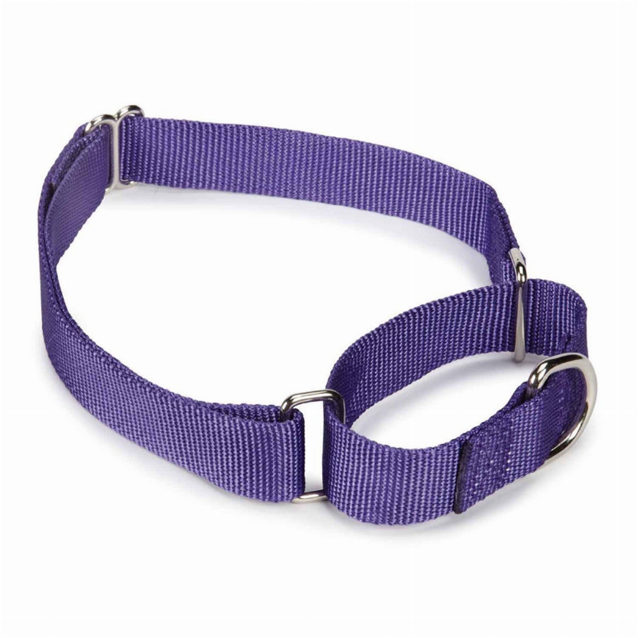 GG Nylon Martingale Collar 14-20In Pur Image 1