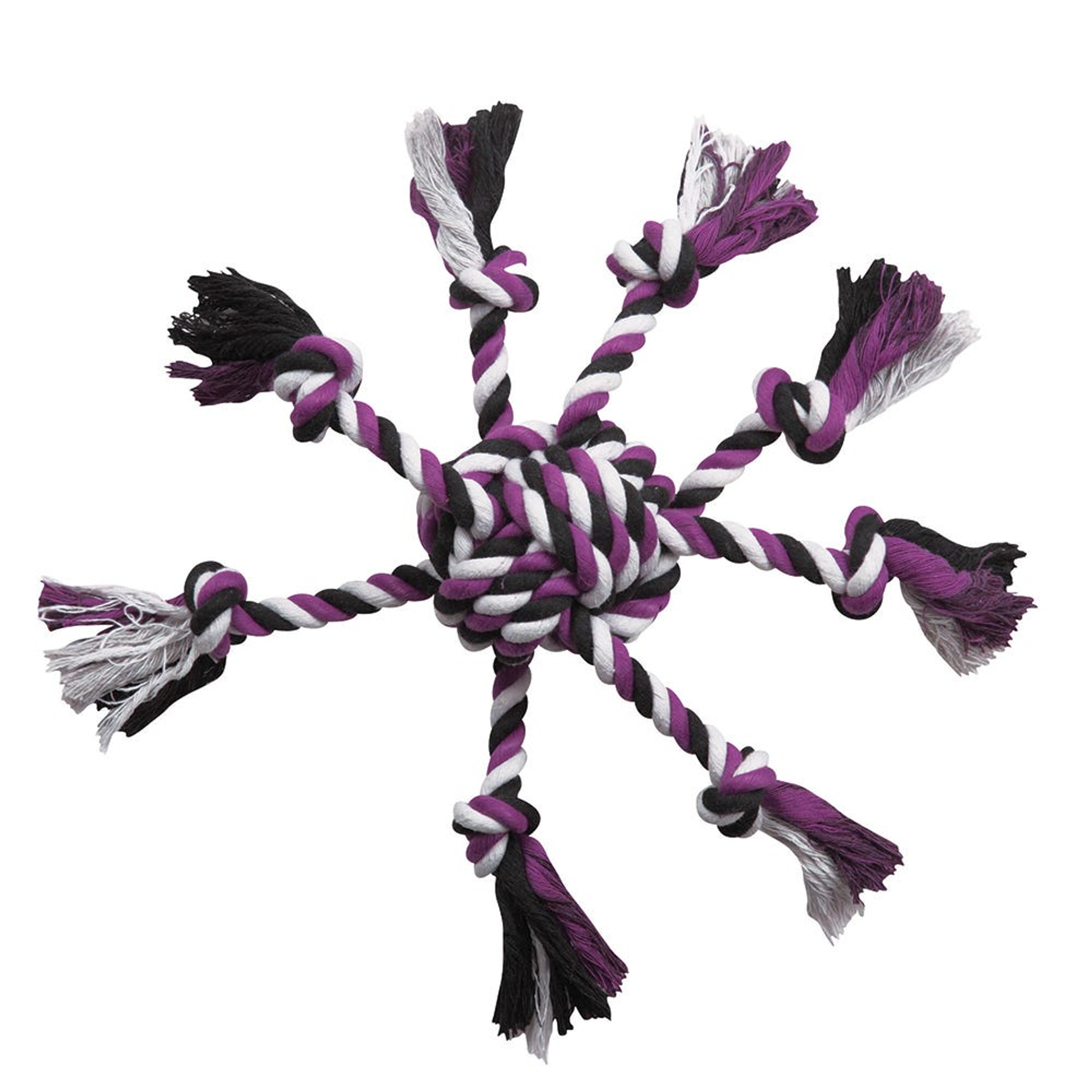 ZA Crazy Eight Rope Toy Pur Image 1
