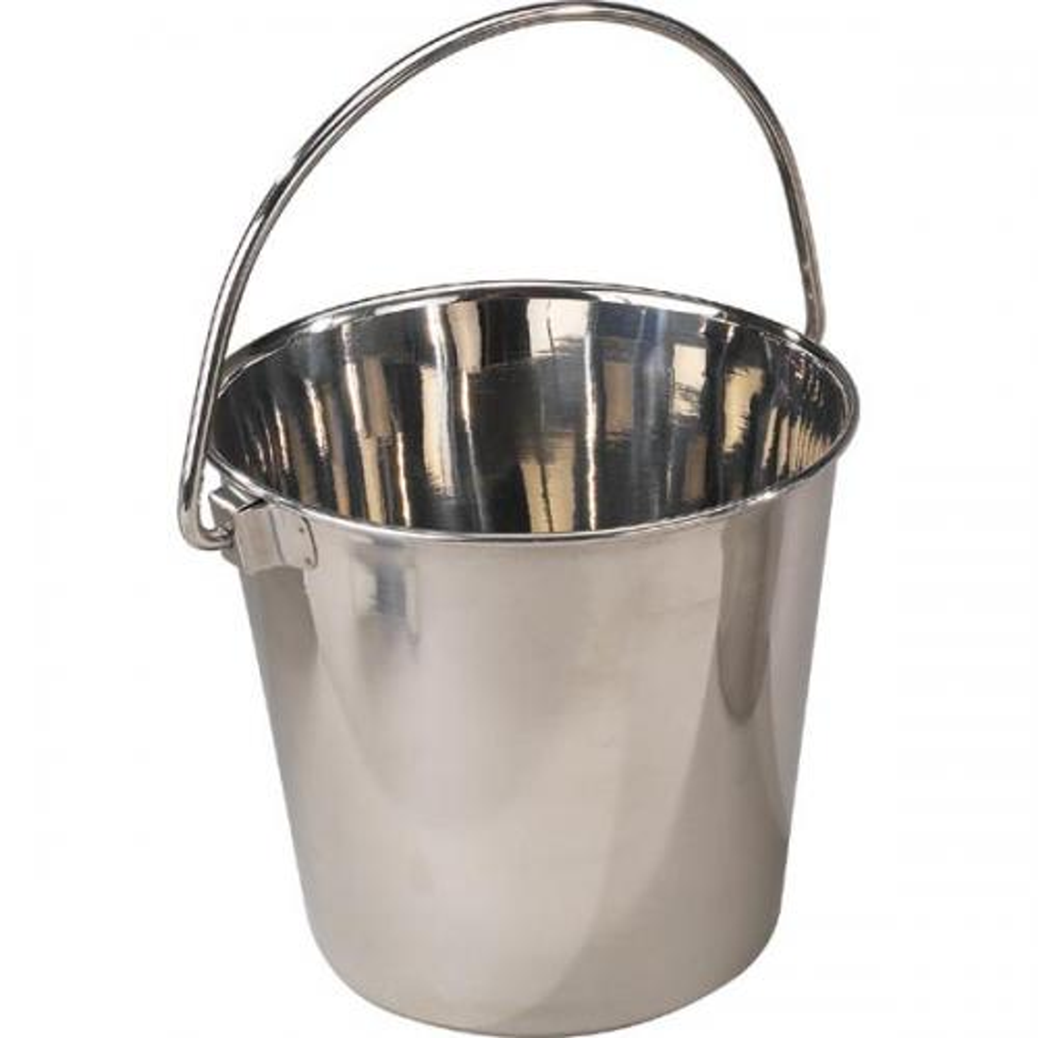 ProSelect Heavy Duty SS Pail 9Qt Image 1