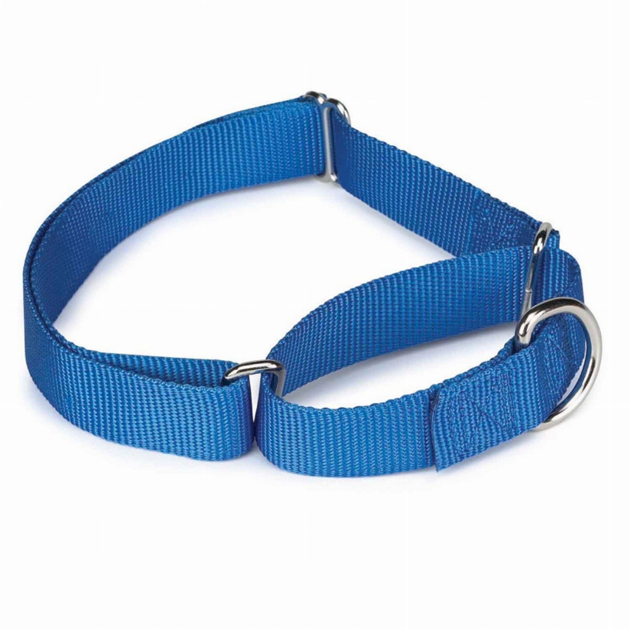 GG Nylon Martingale Collar 18-26In Blu Image 1