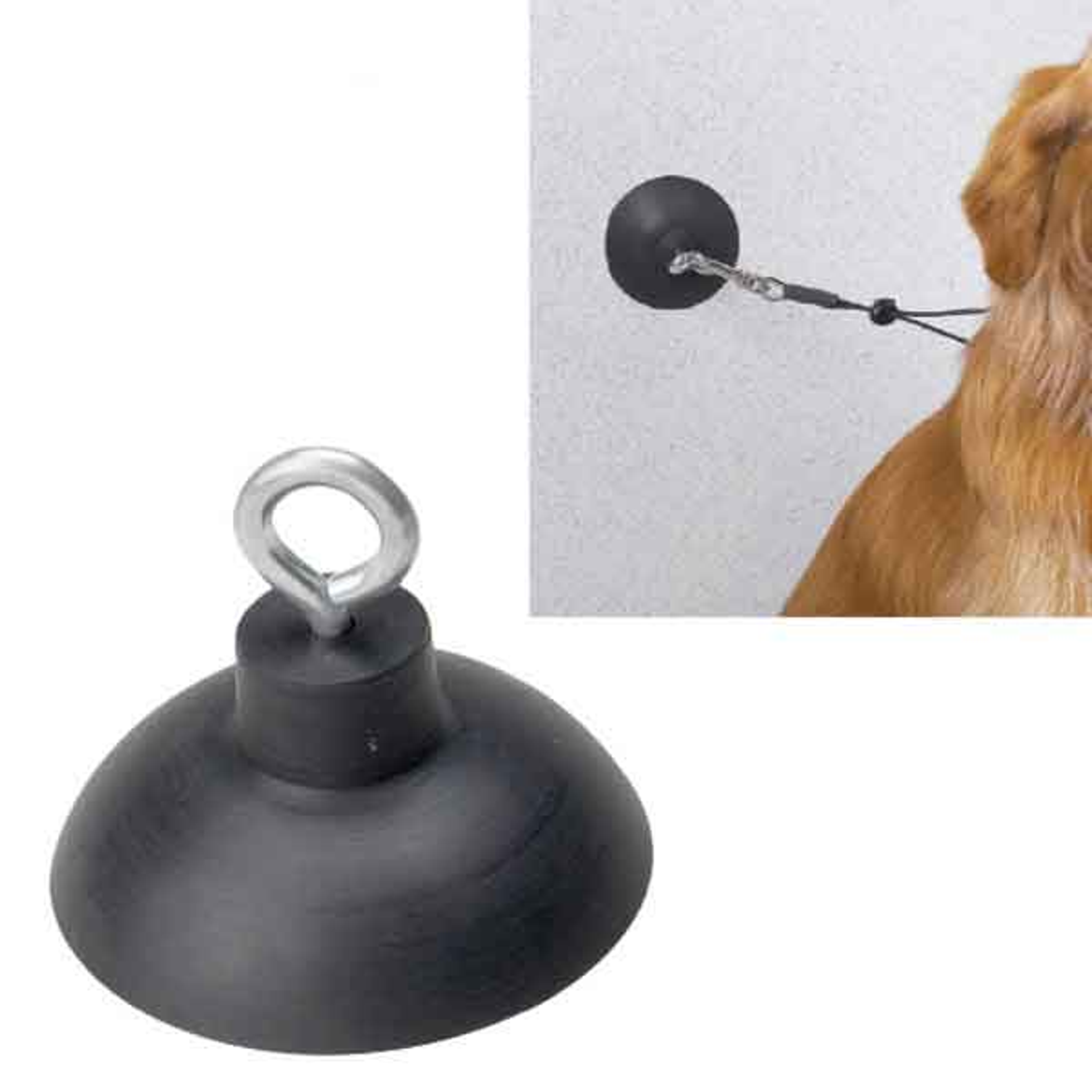 TP Suction Cup Image 1