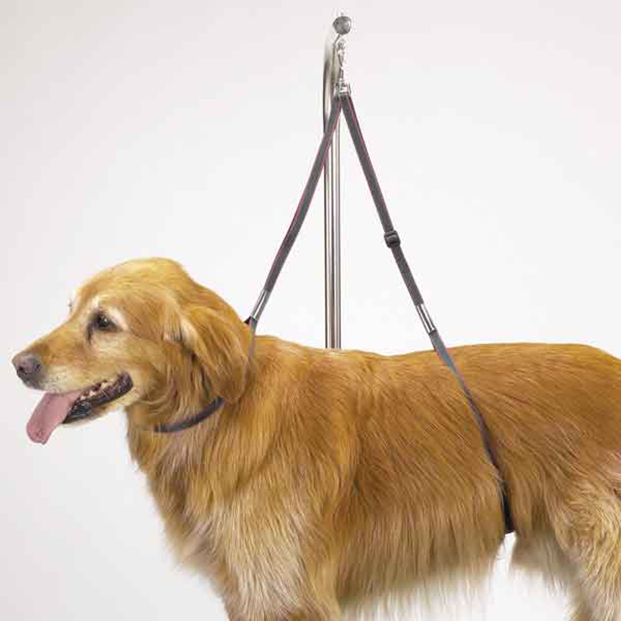 TP Nylon Table Harness 27In Image 1