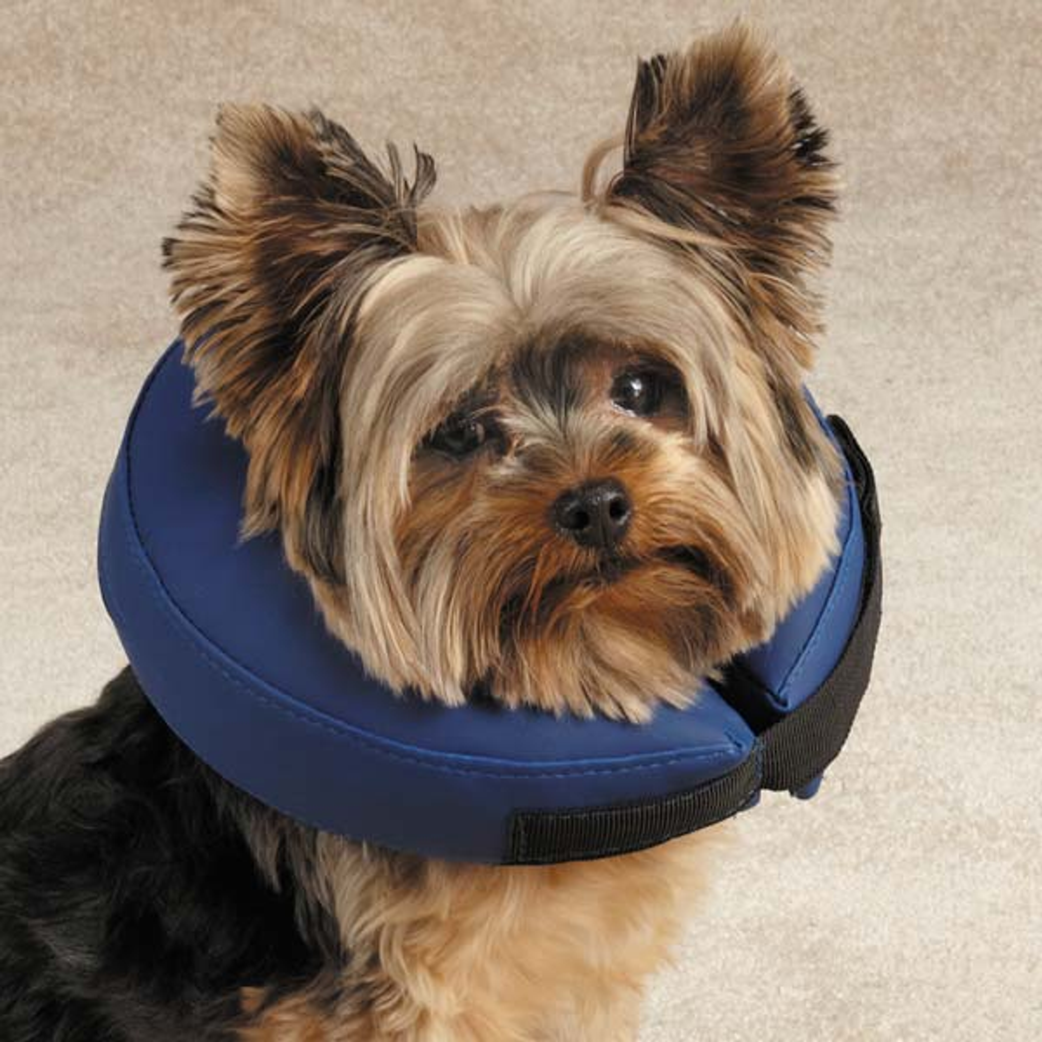 TH Inflatable Collar S Blu Image 1