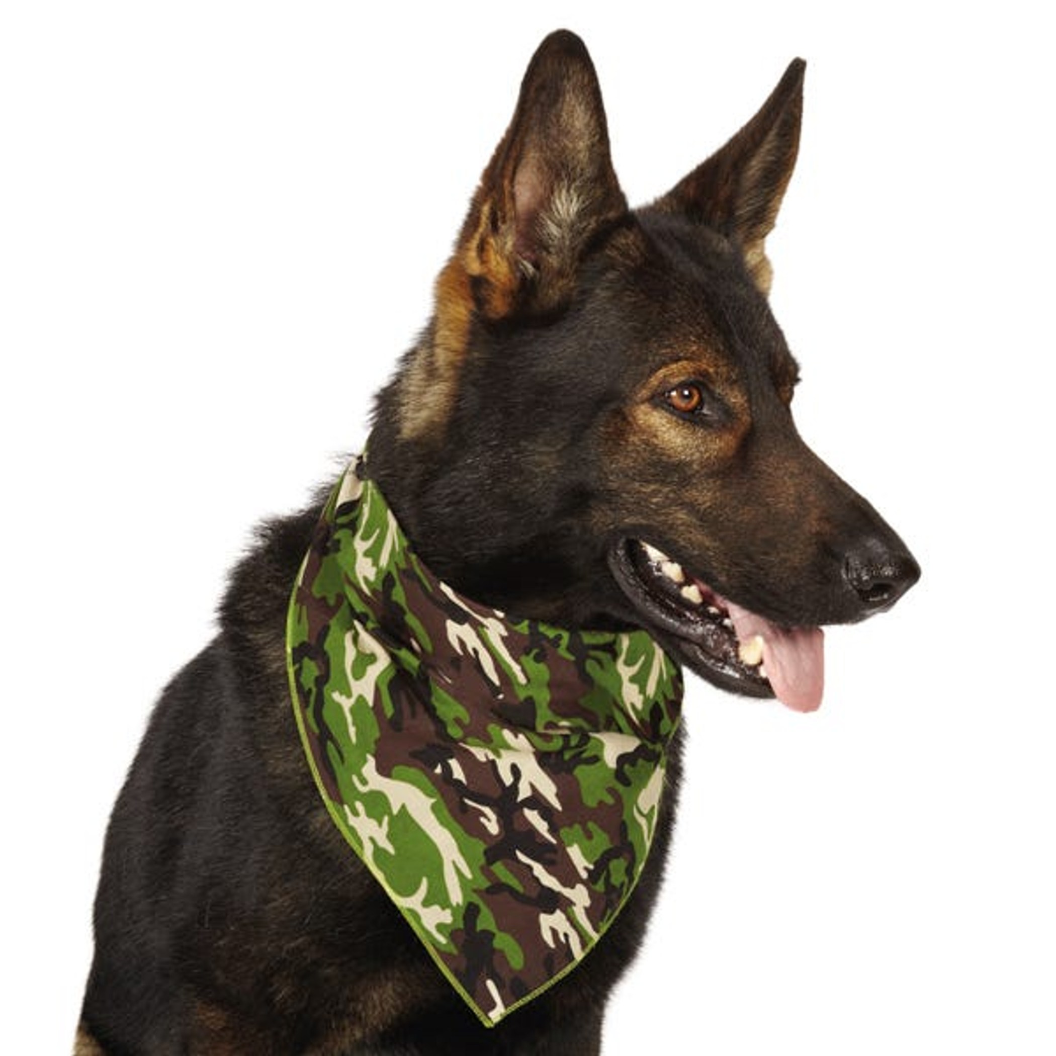 AR Camo Bandana Grn Image 1