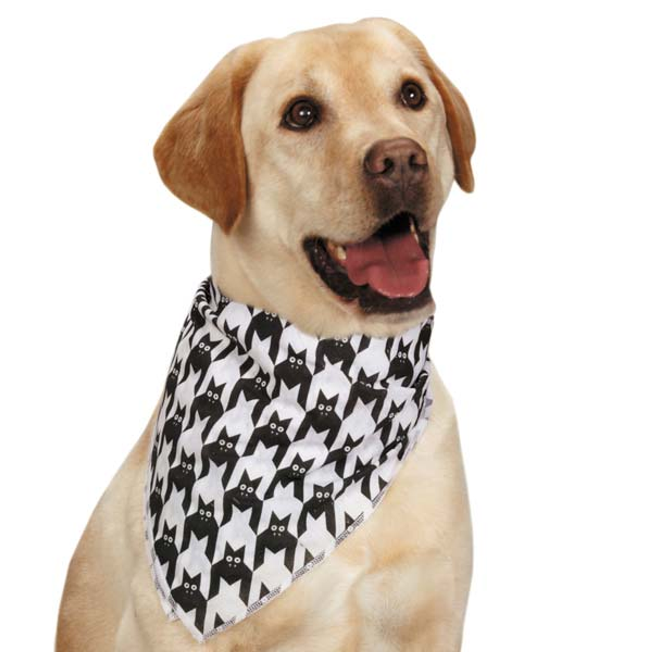 AR Houndstooth Bat Bandana Wht/Blk Image 1