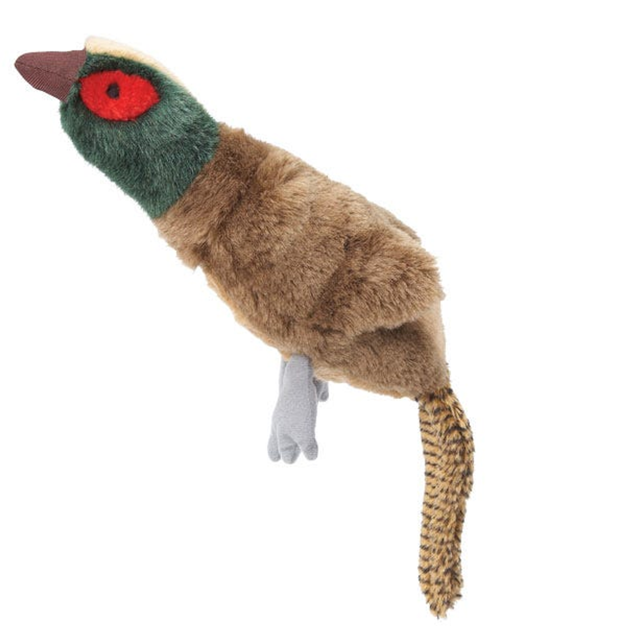 GR Squawk Flock Pheasant Image 1