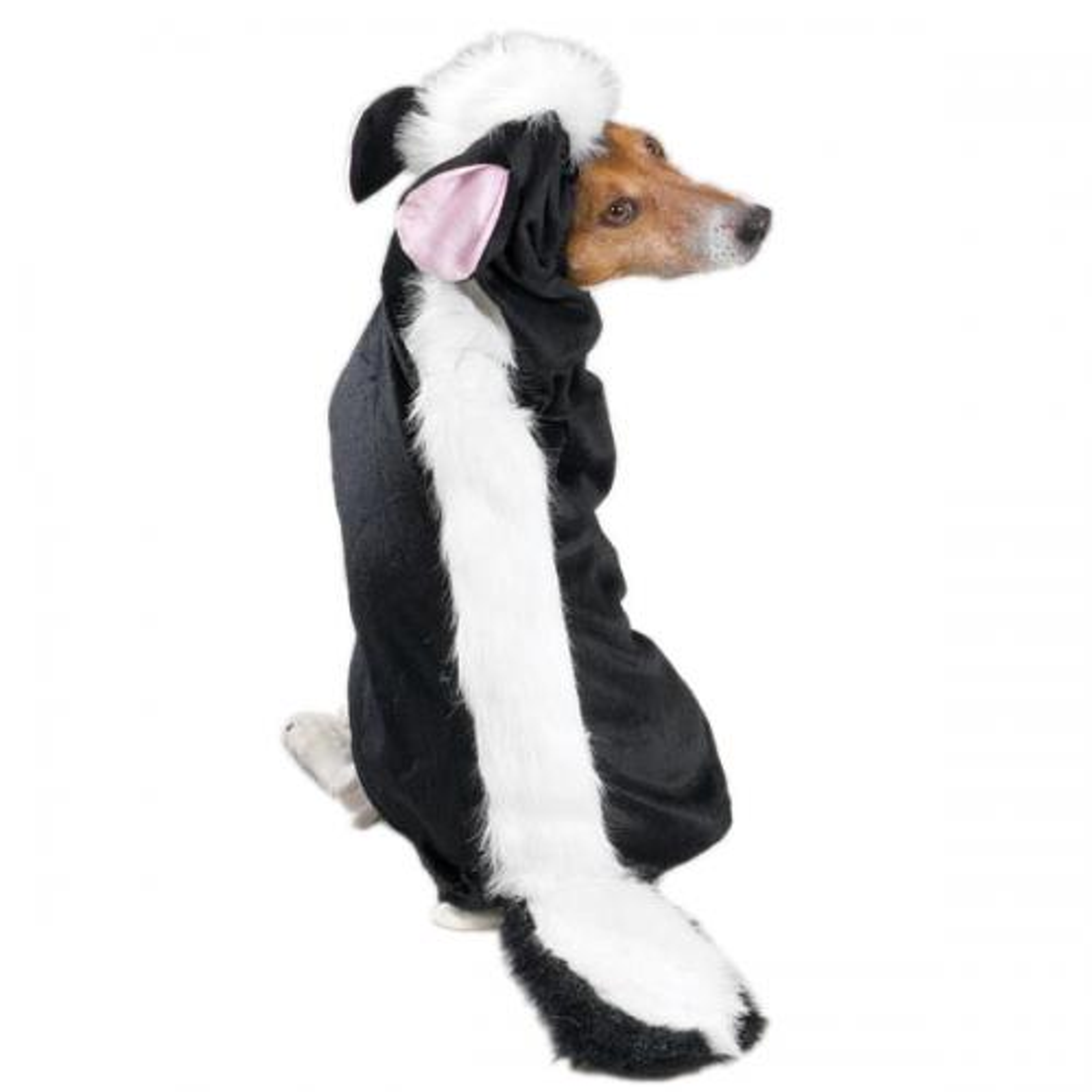 Casual Canine Lil' Stinker Costume Image 1