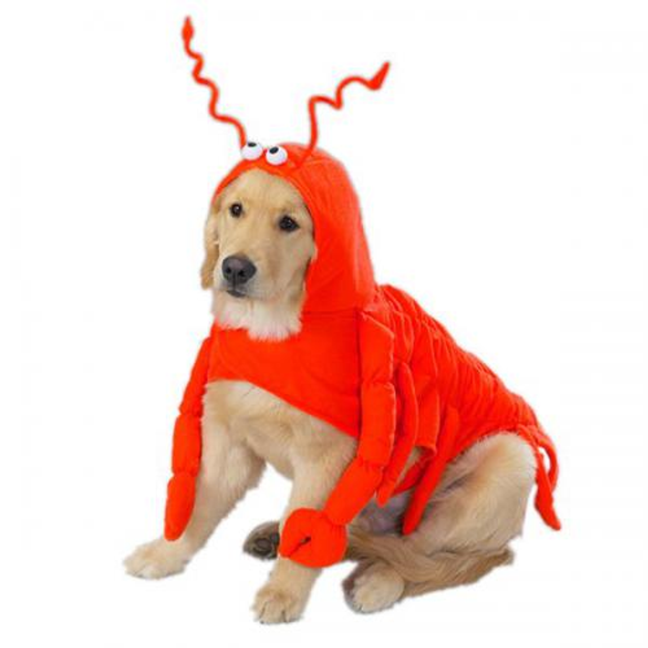 Casual Canine Lobster Paws Costume Image 1