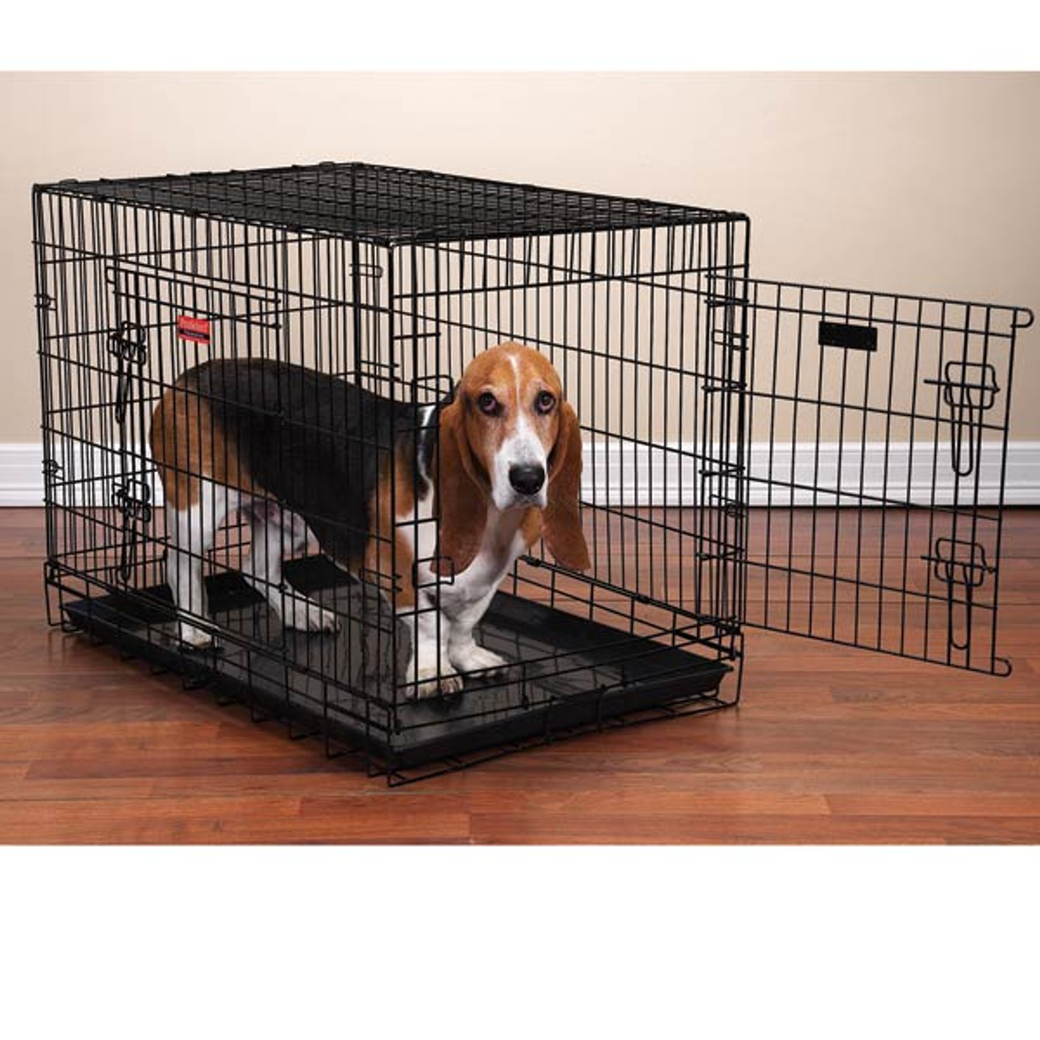PS Everlast Crate w/Dual Doors M/L Image 1