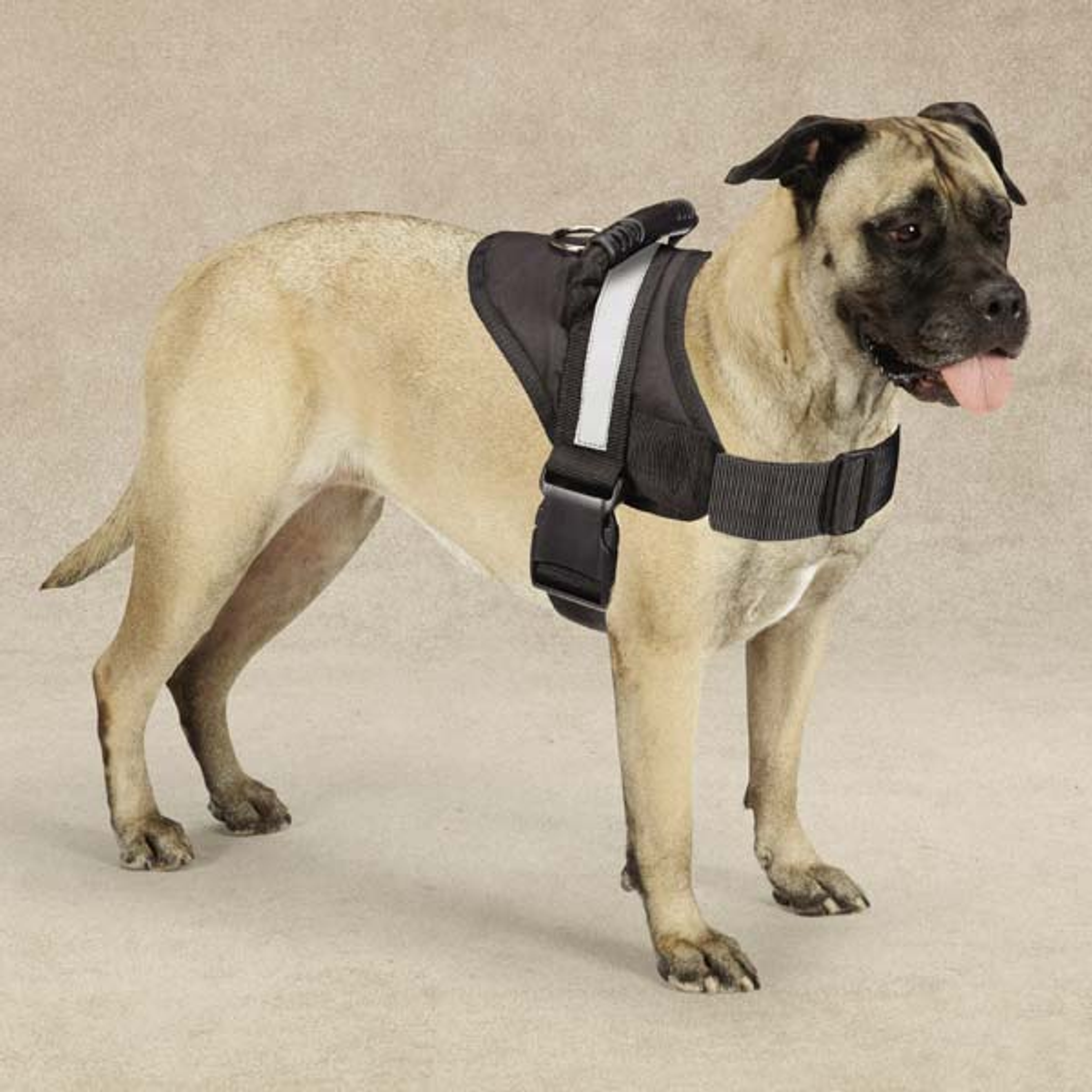 Guardian Gear Excursion Harnesses 20-26In Image 1
