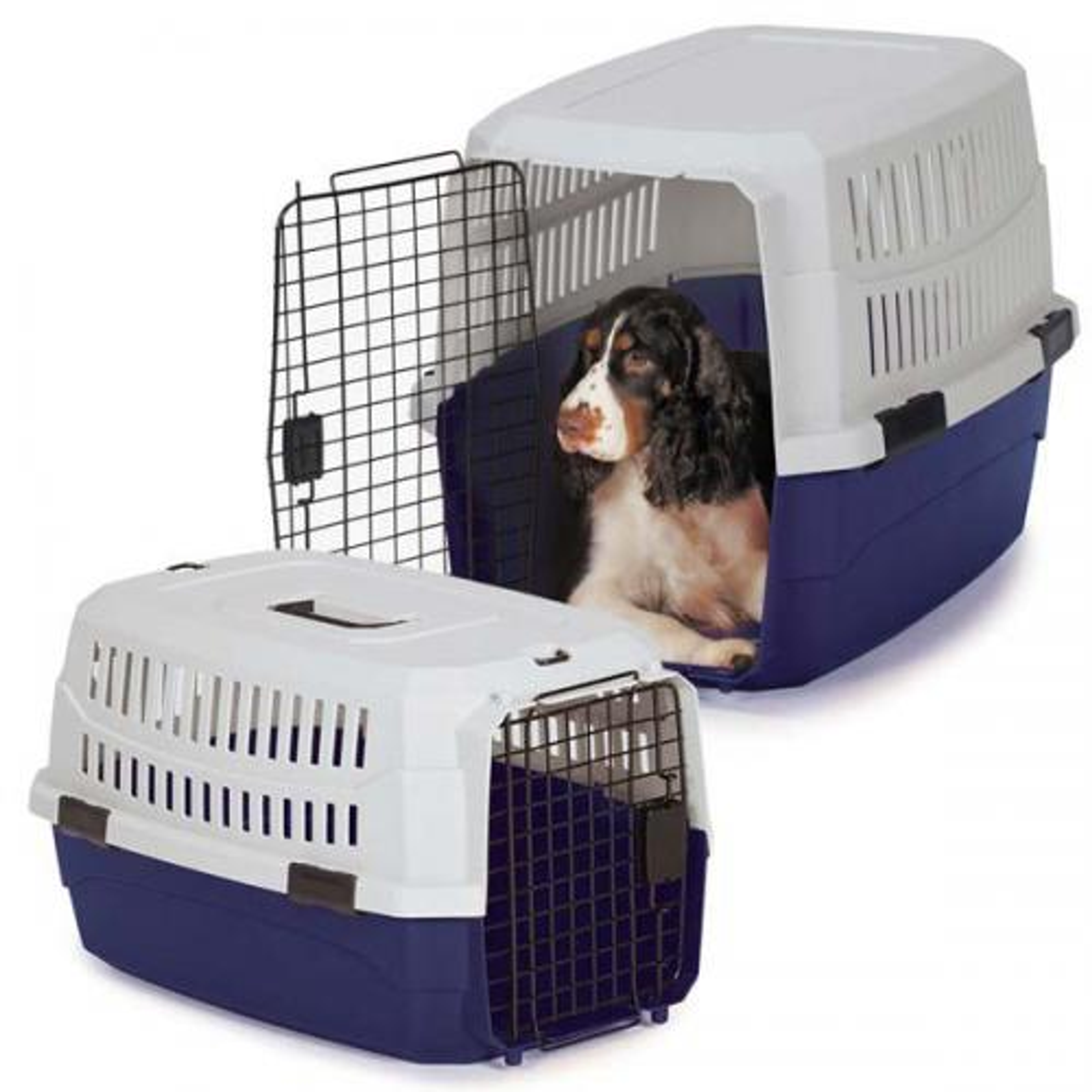 GG Contain Me Crate Image 1