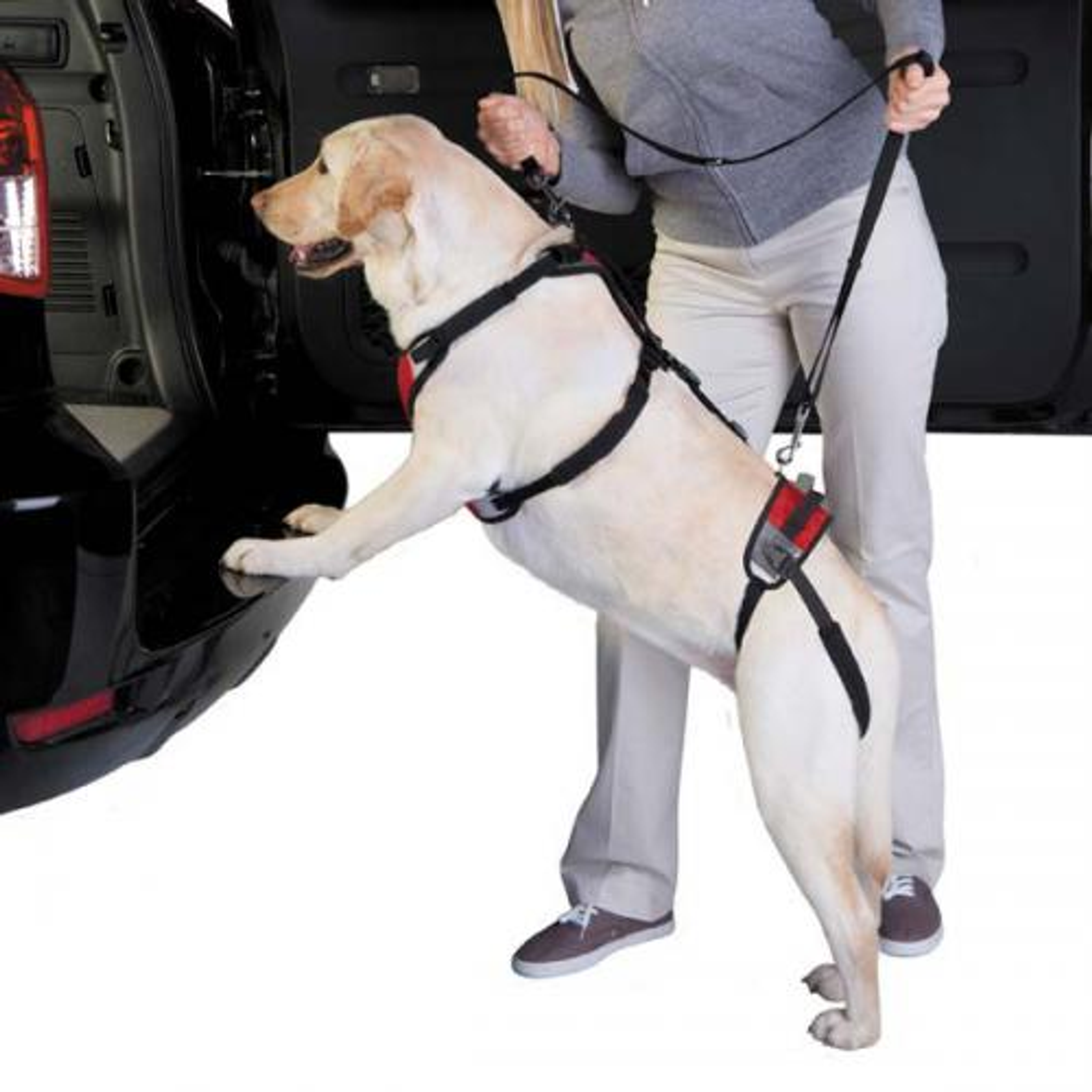 Total Pet Health Lift & Go Lead Image 1