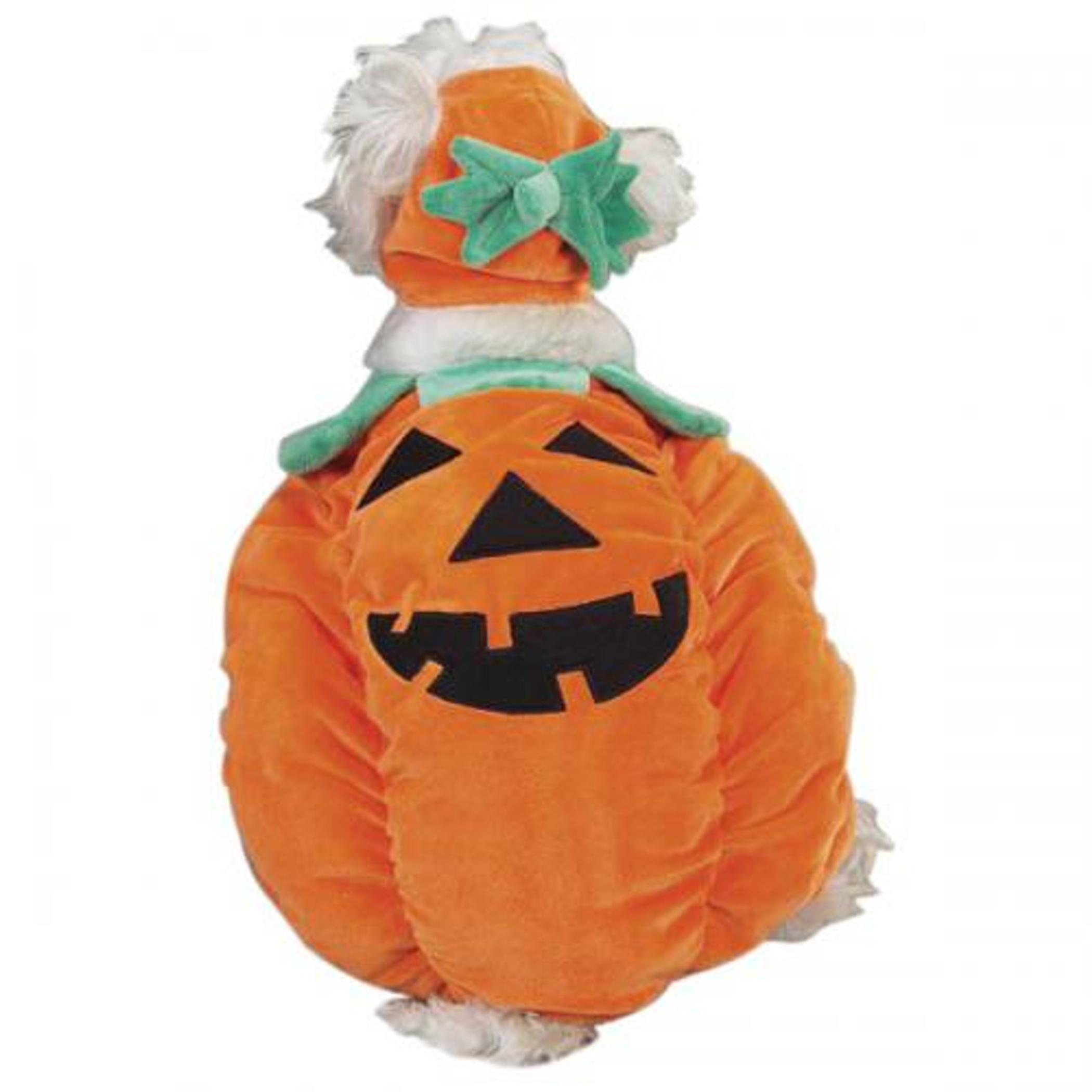 Zack & Zoey Pumpkin Pooch Costume Image 1
