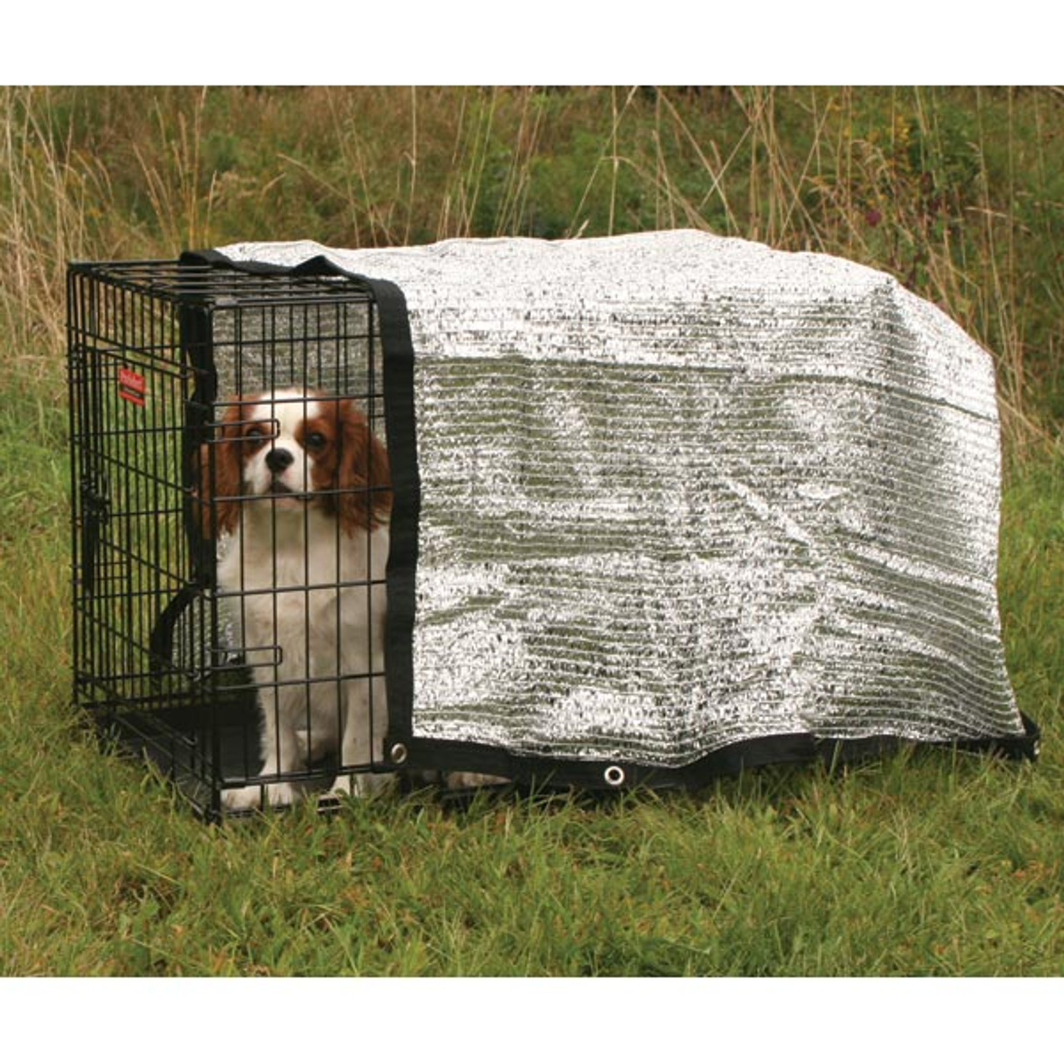 ProSelect Solar Canopy 6x6Ft Image 1