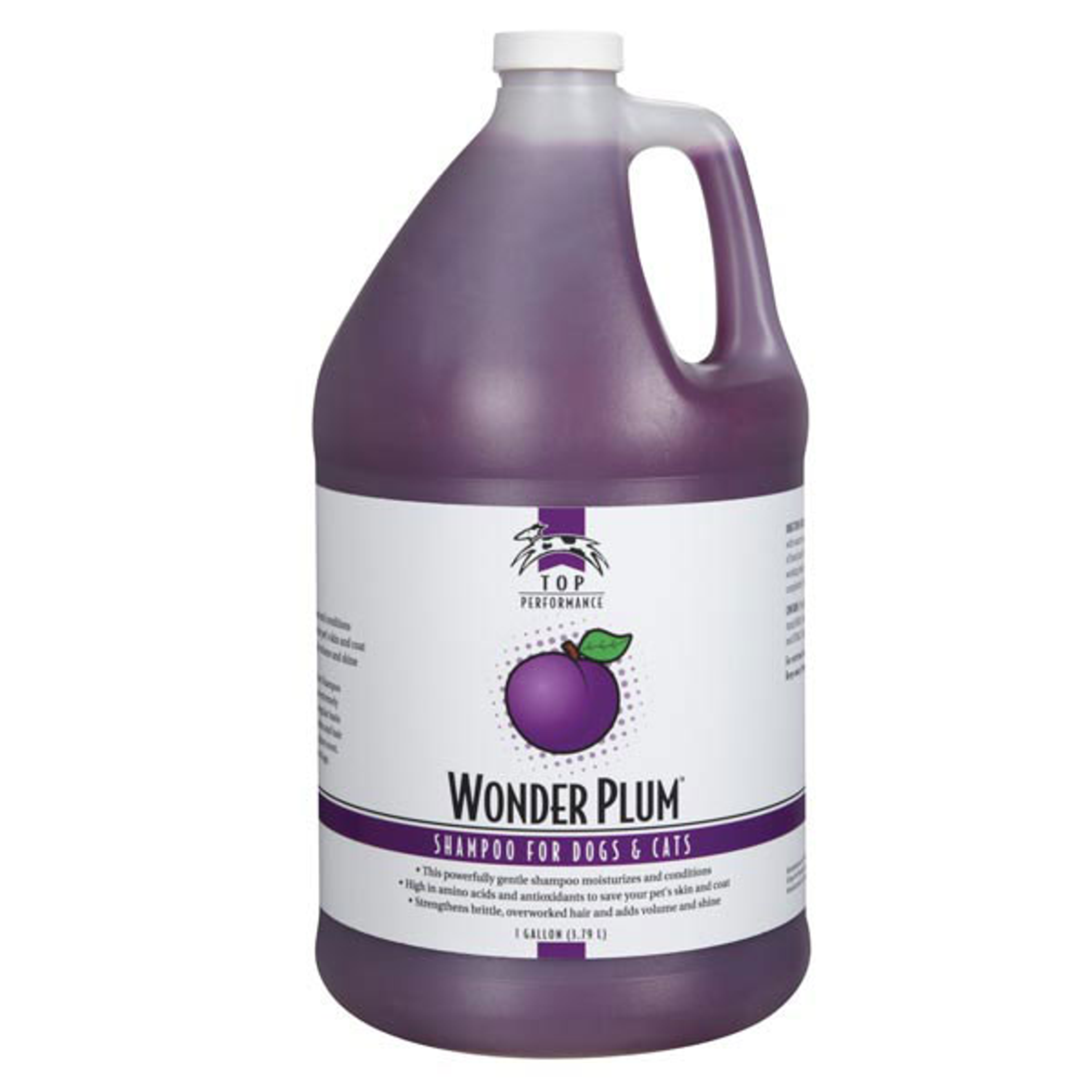 TP Shampoo Gallon Image 1