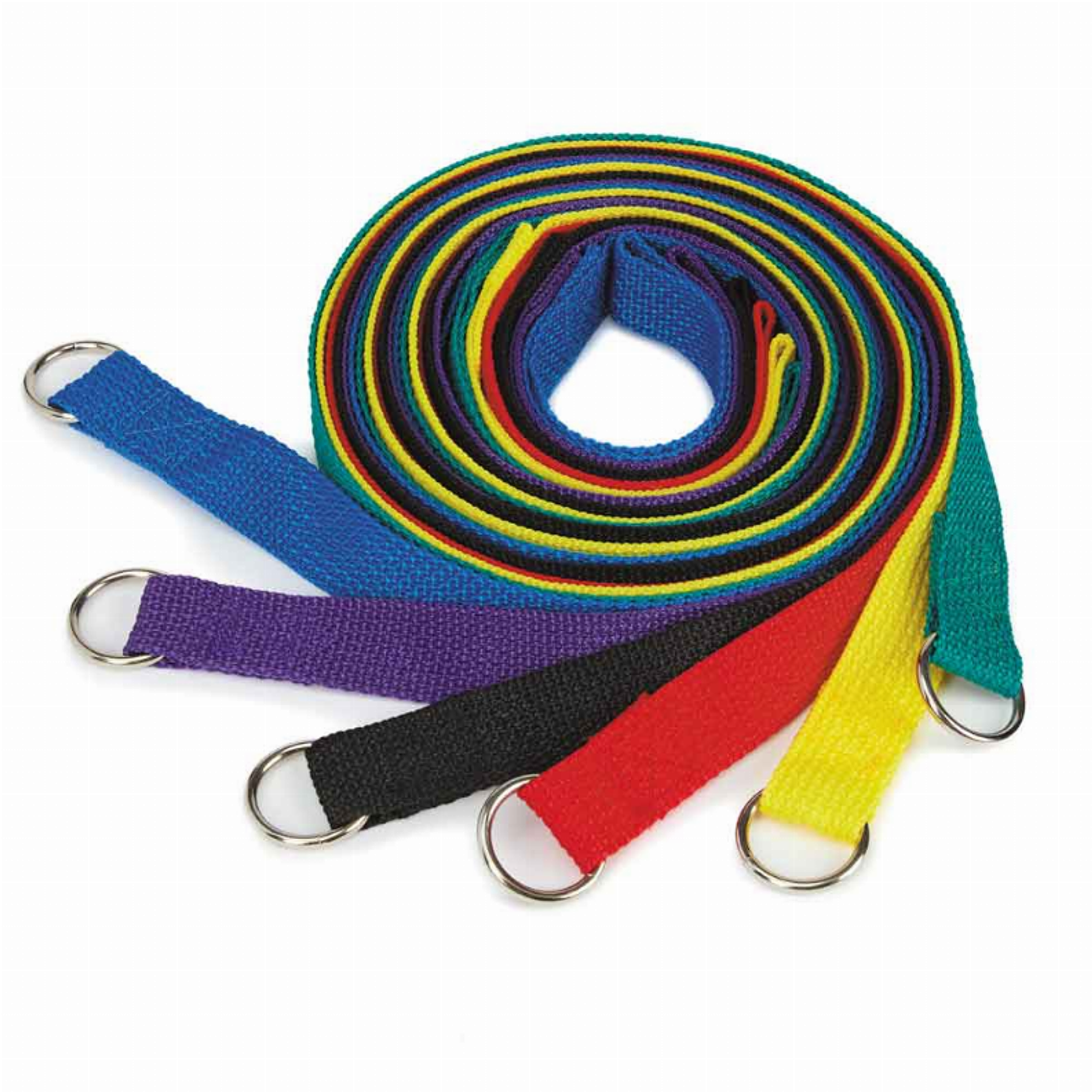 GG Kennel Lead 4Ft 6Pk Asst Image 1