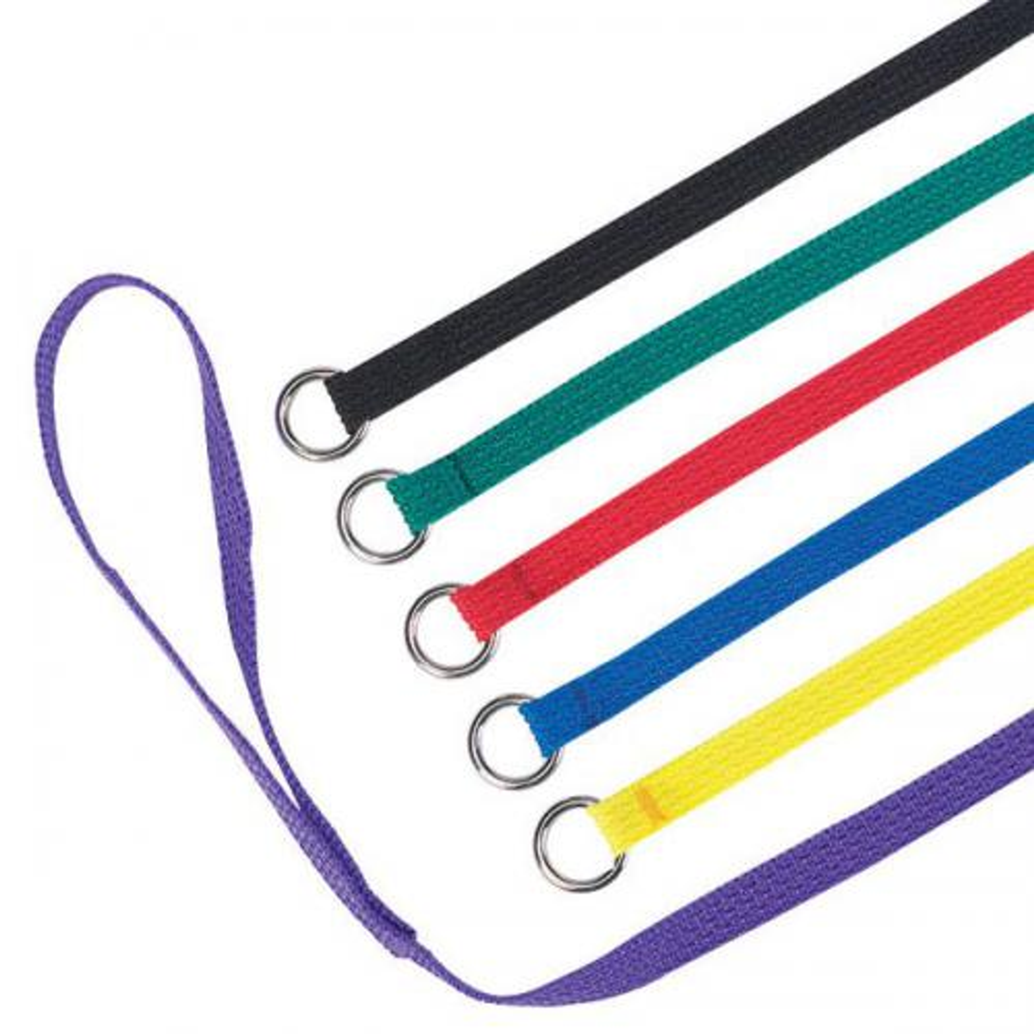 Guardian Gear Kennel Leads 6 Ft 6-Pack Image 1