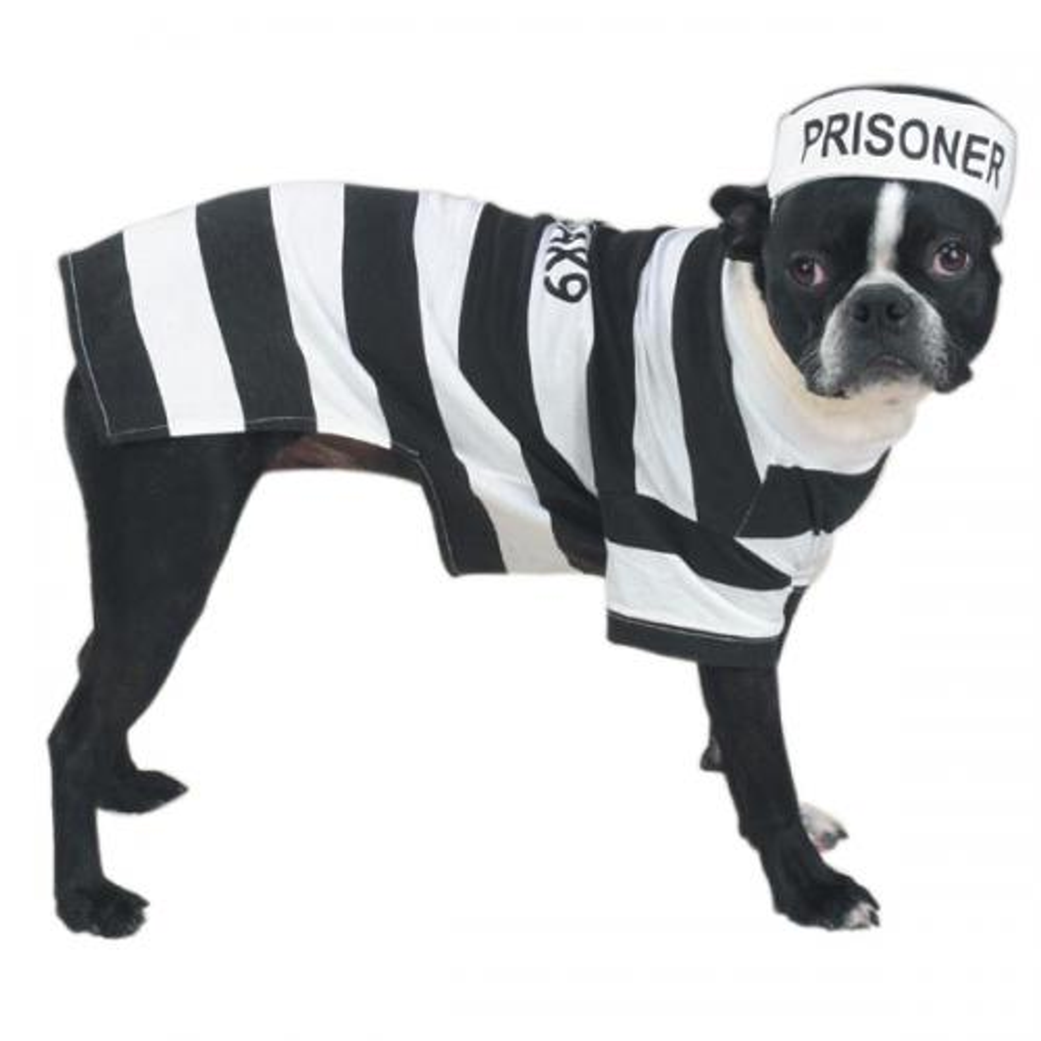 Casual Canine Prison Pooch Costume Image 1