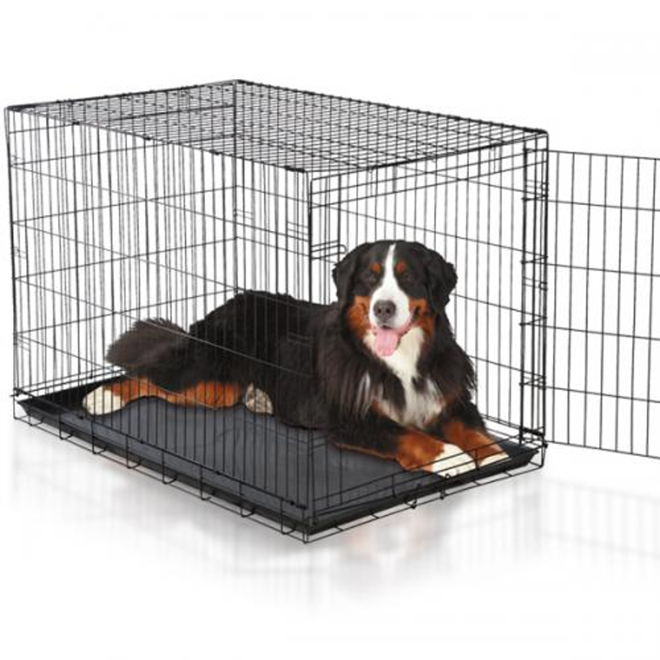 Easy Crate Image 1