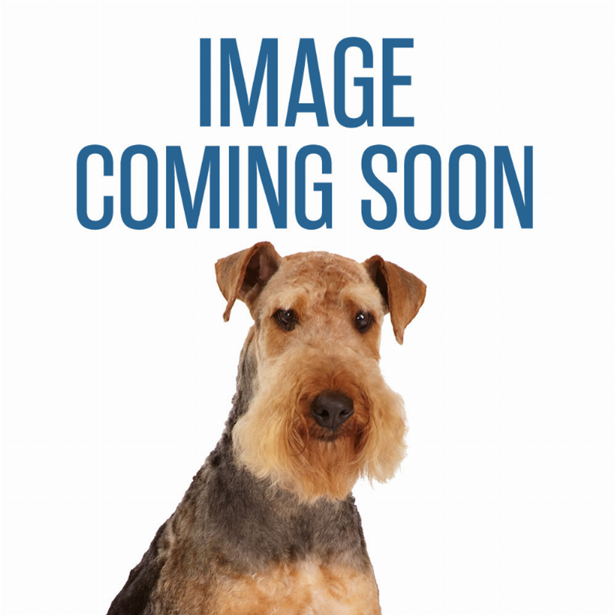 BP interlock 360 Stake Image 1
