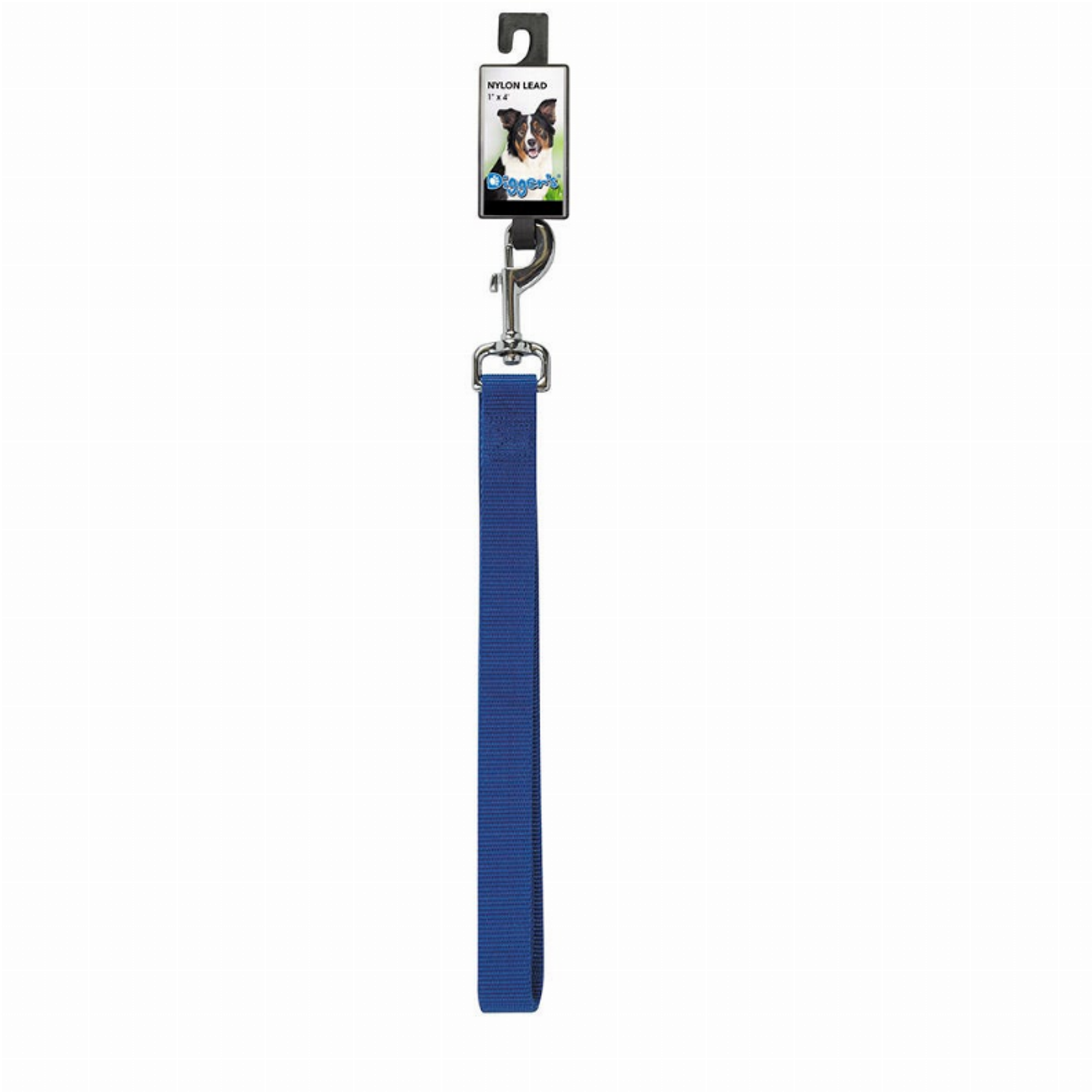 DGR 1in Nylon Lead 48in Blue Image 1